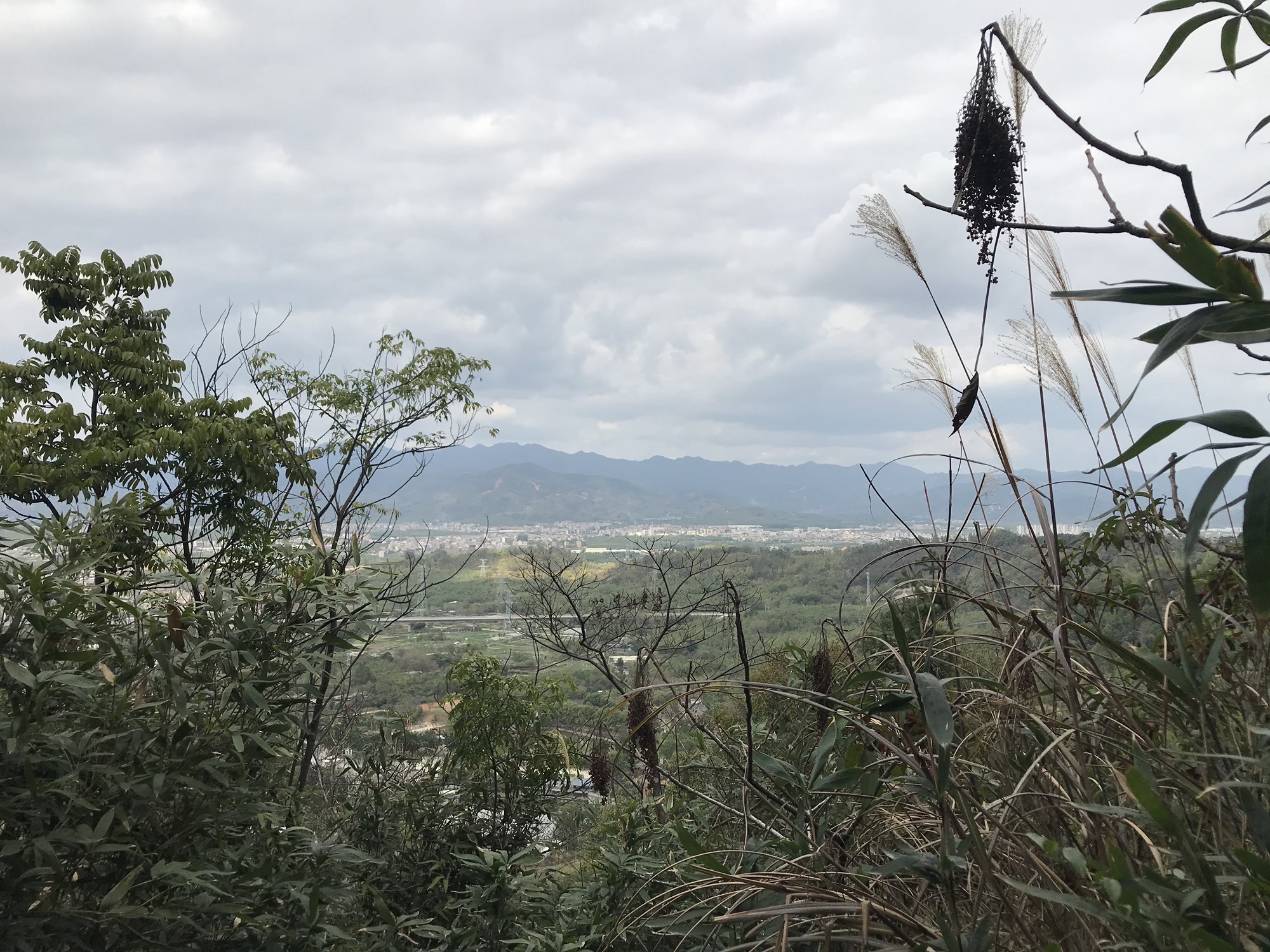 飞凤岩旅行图片 2