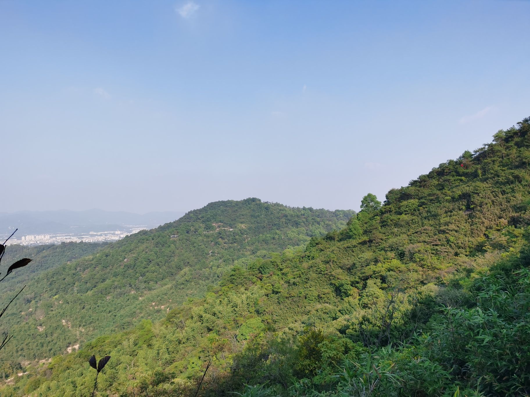飞凤岩旅行图片 1