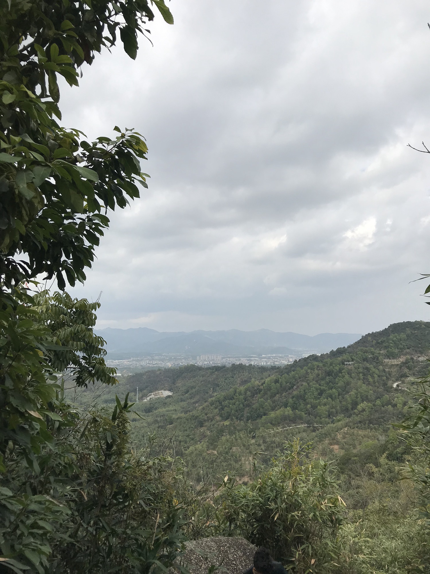 飞凤岩旅行图片 3