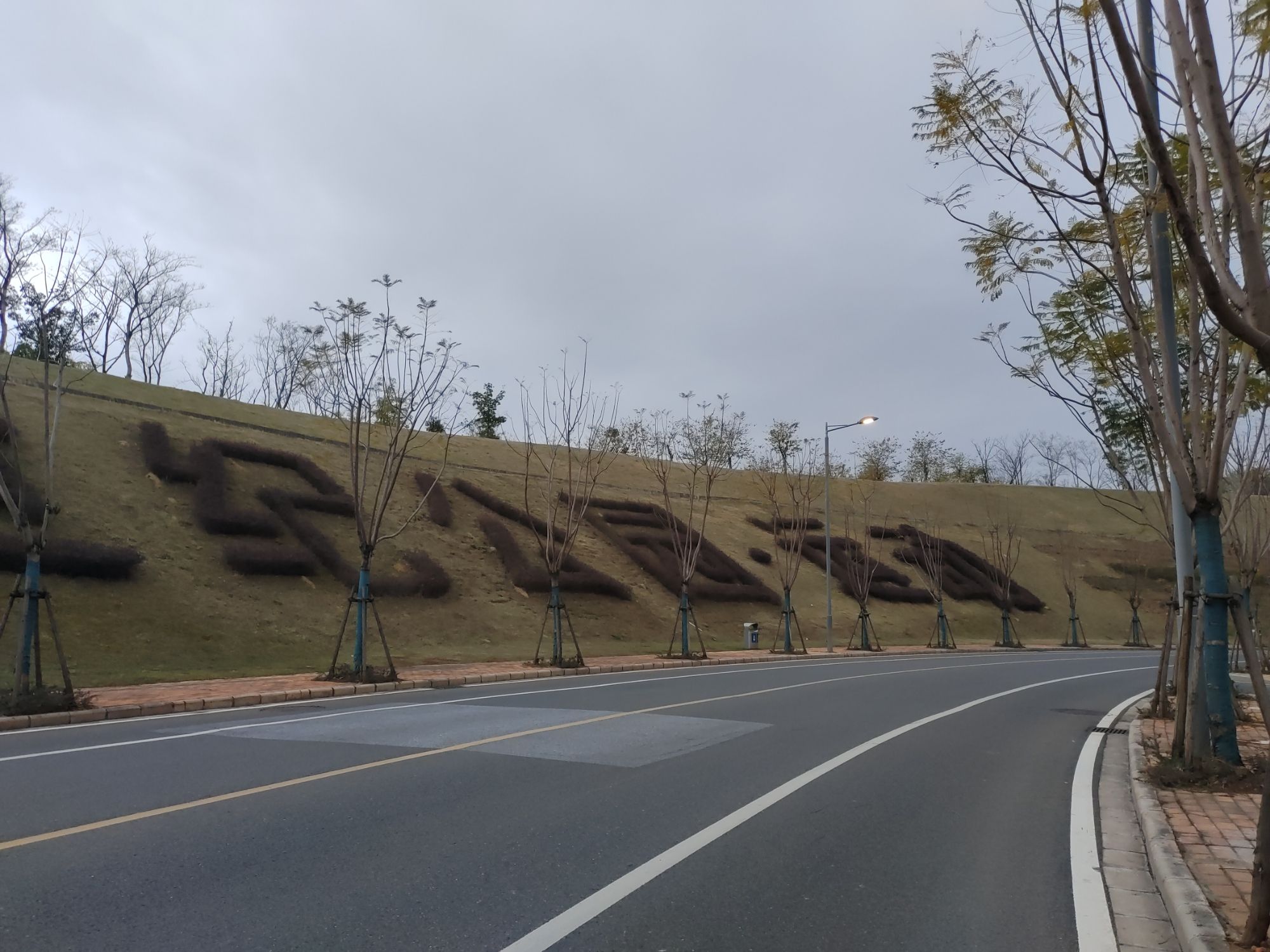 新世纪公园旅行图片 2