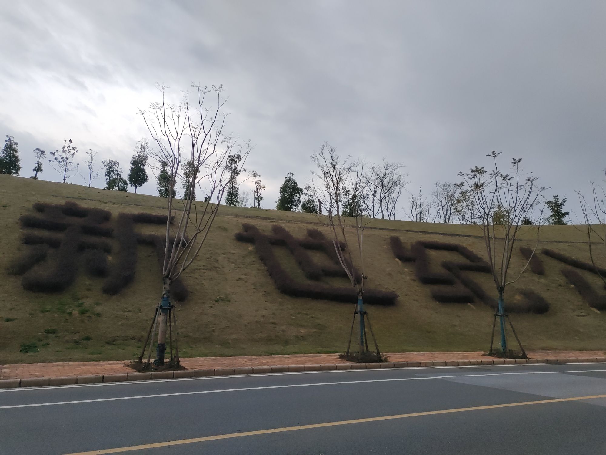 新世纪公园旅行图片 1