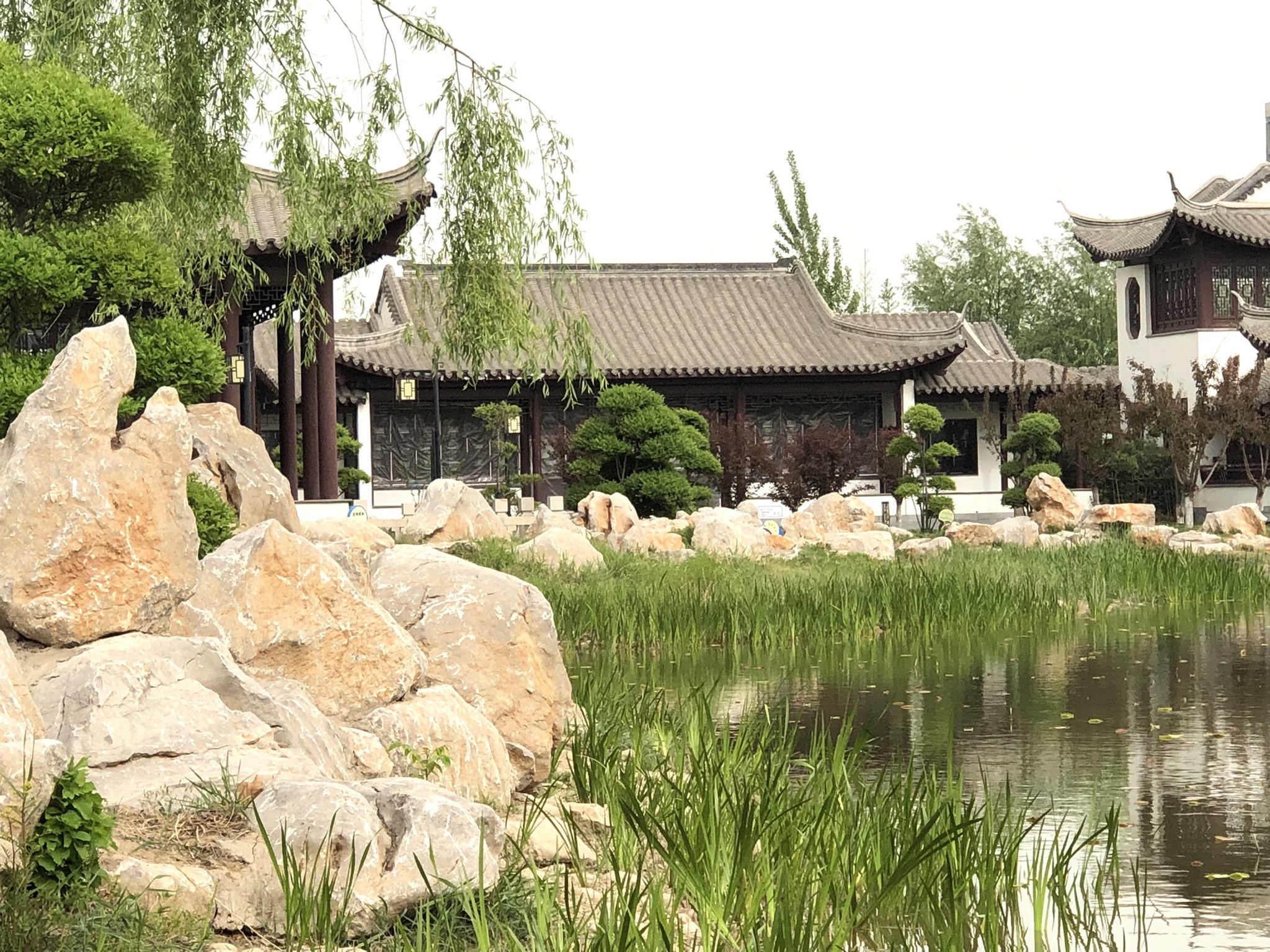 兴华公园旅行图片 1
