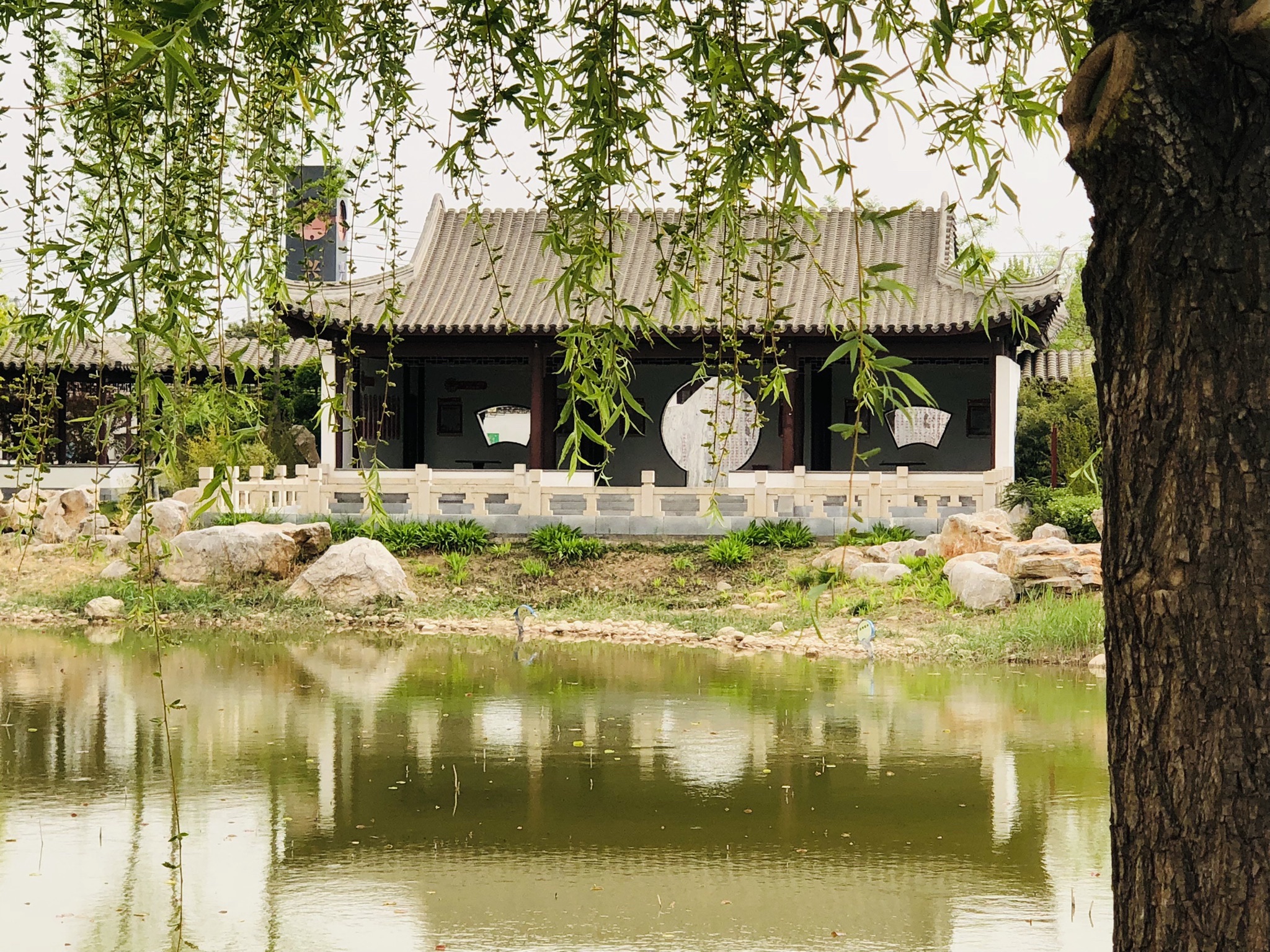 兴华公园旅行图片 3