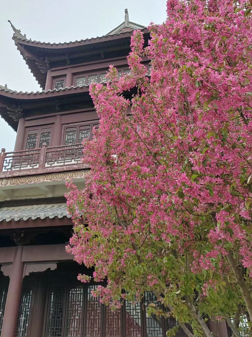 兴华公园旅行图片 1