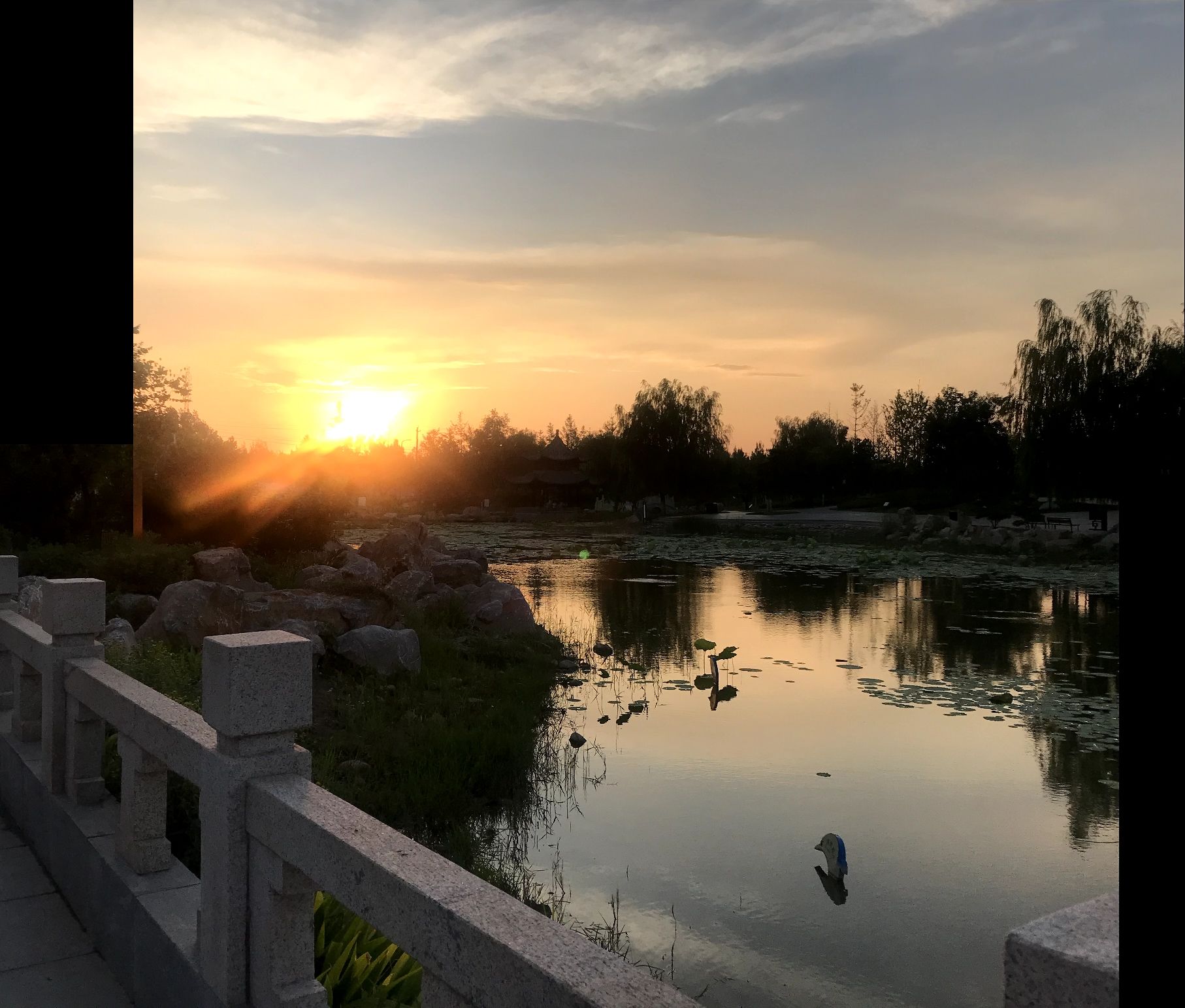 兴华公园旅行图片 1