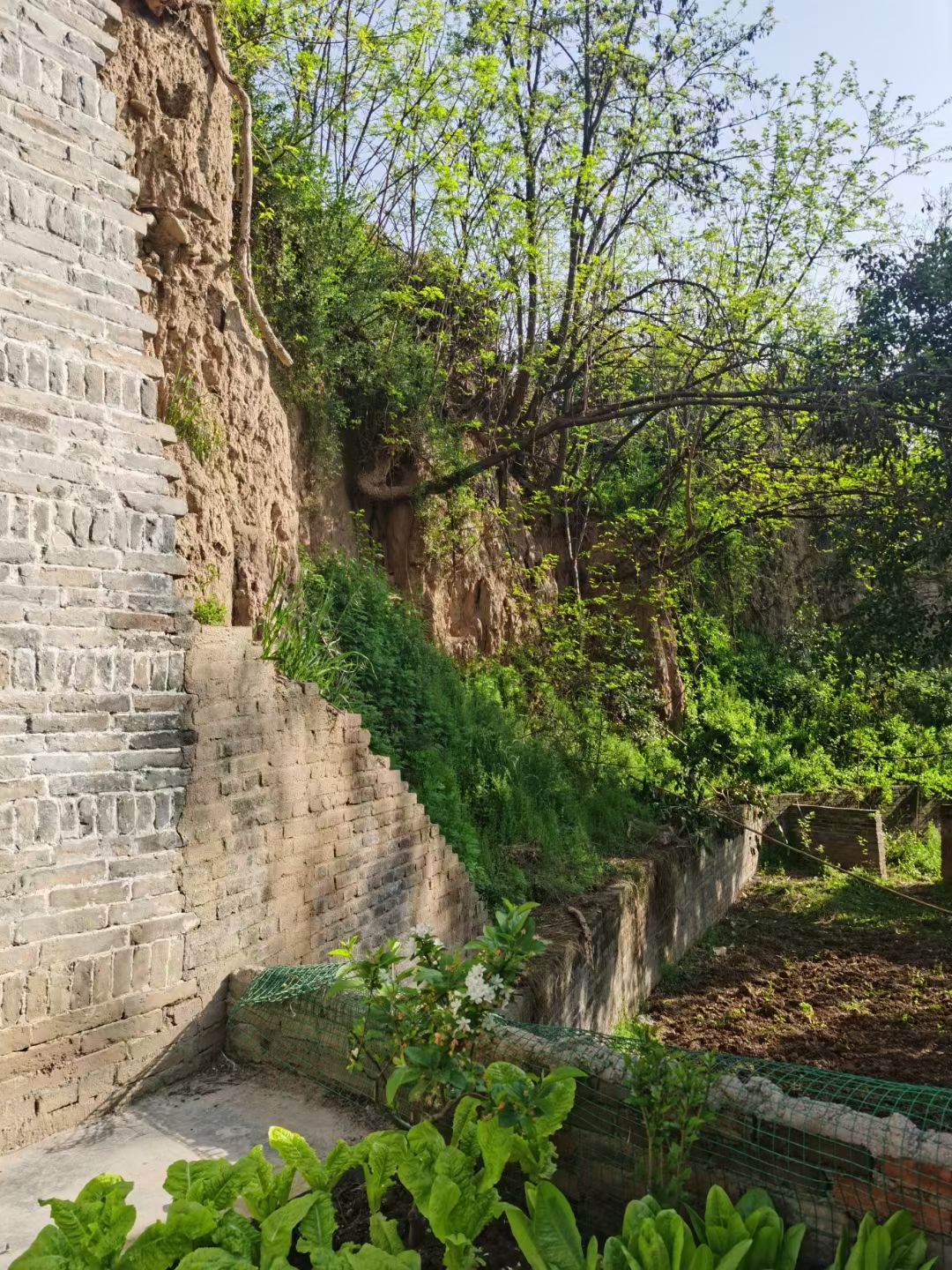 赤眉古寨旅行图片 2