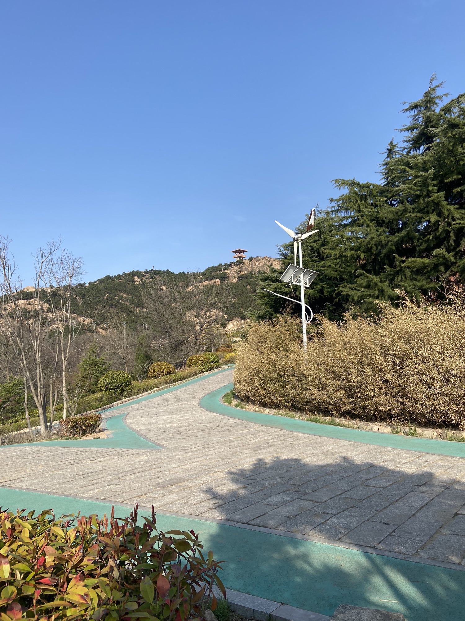 金岭山旅行图片 3