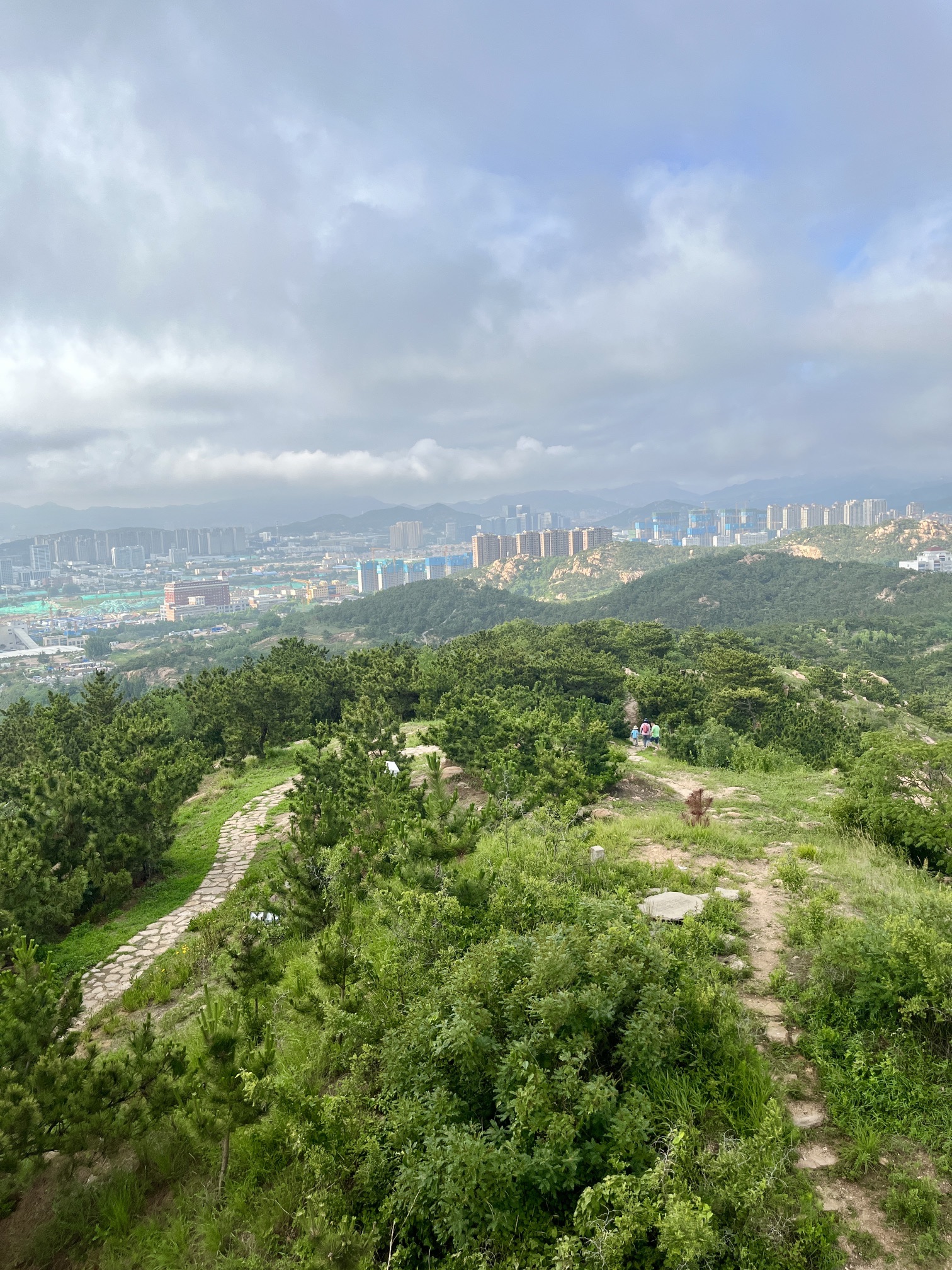 金岭山旅行图片 1