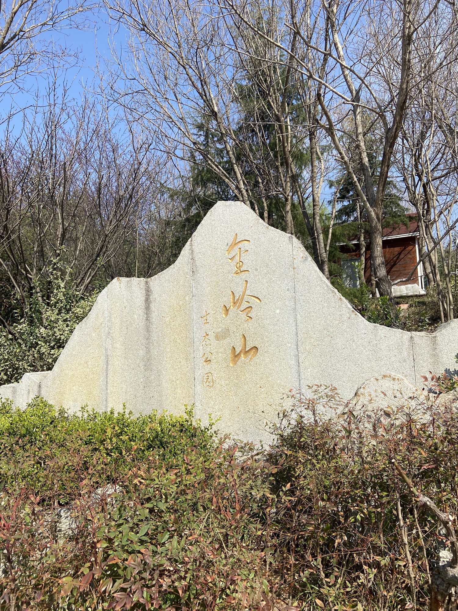 金岭山旅行图片 1