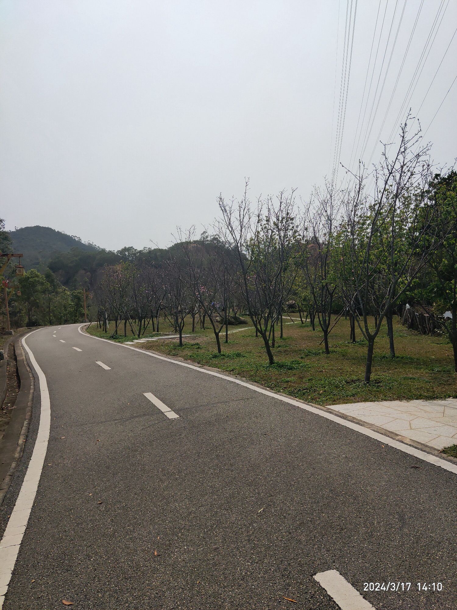 观音山郊野公园旅行图片 1