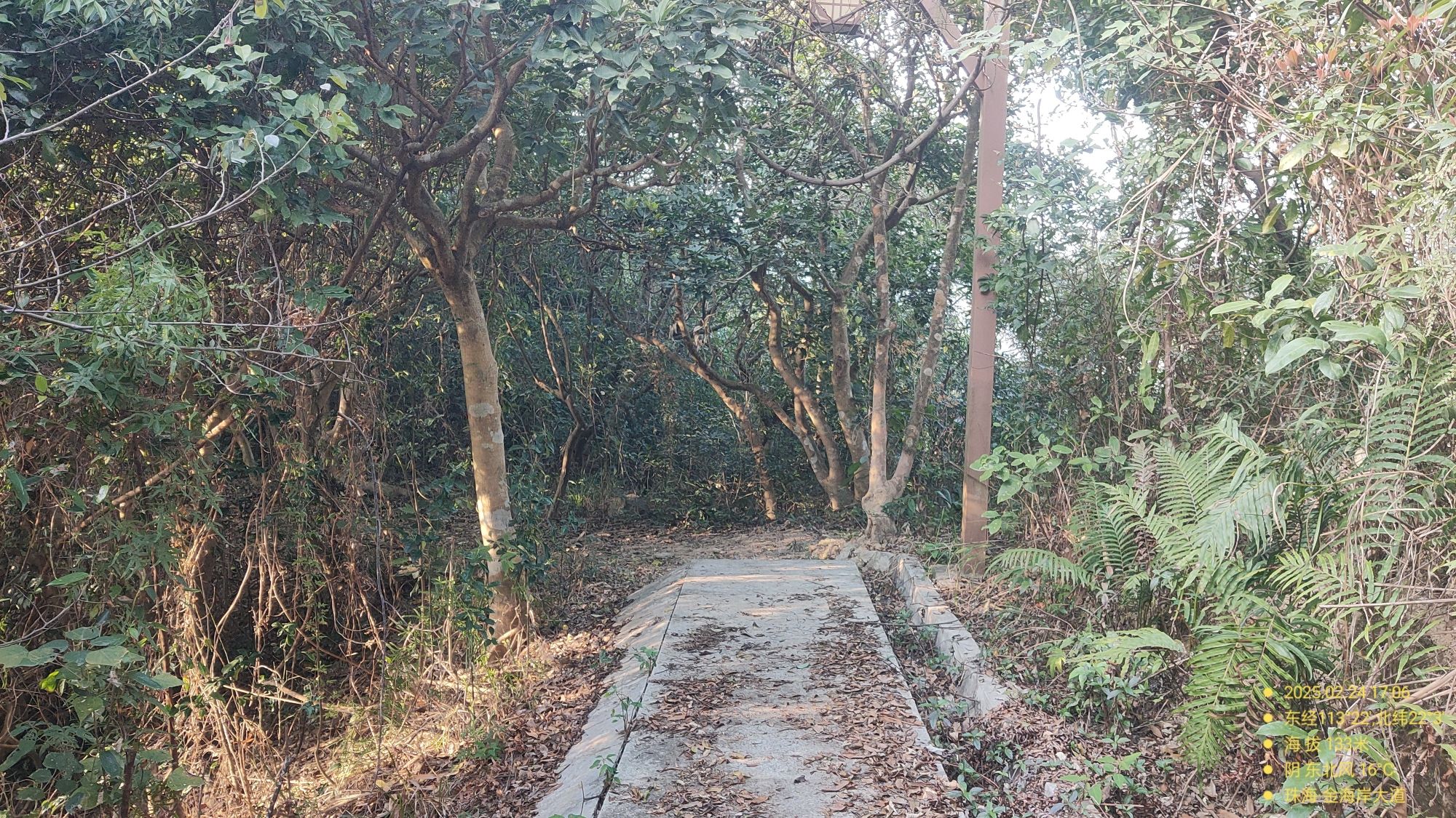 观音山郊野公园旅行图片 1