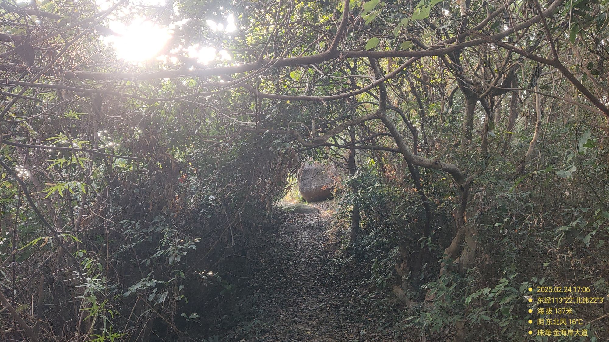 观音山郊野公园旅行图片 2