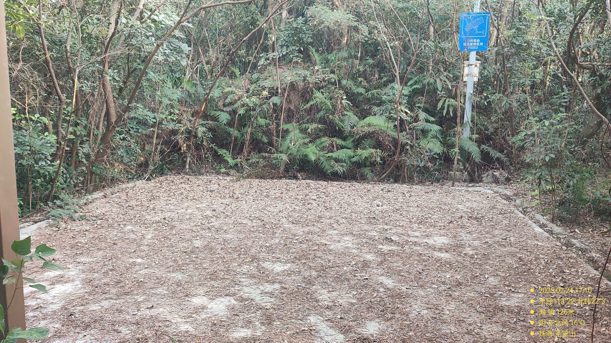 观音山郊野公园旅行图片 3