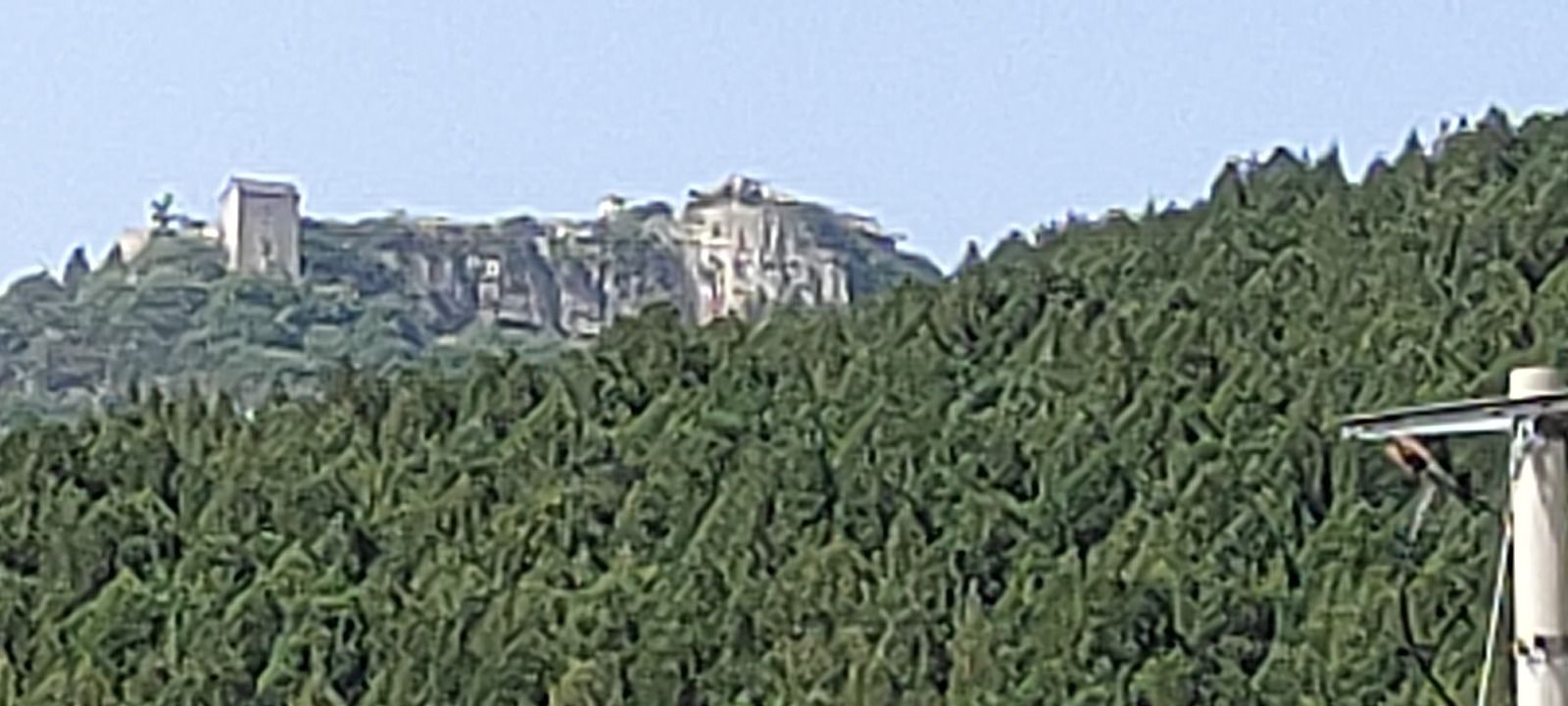 望寿园旅行图片 1