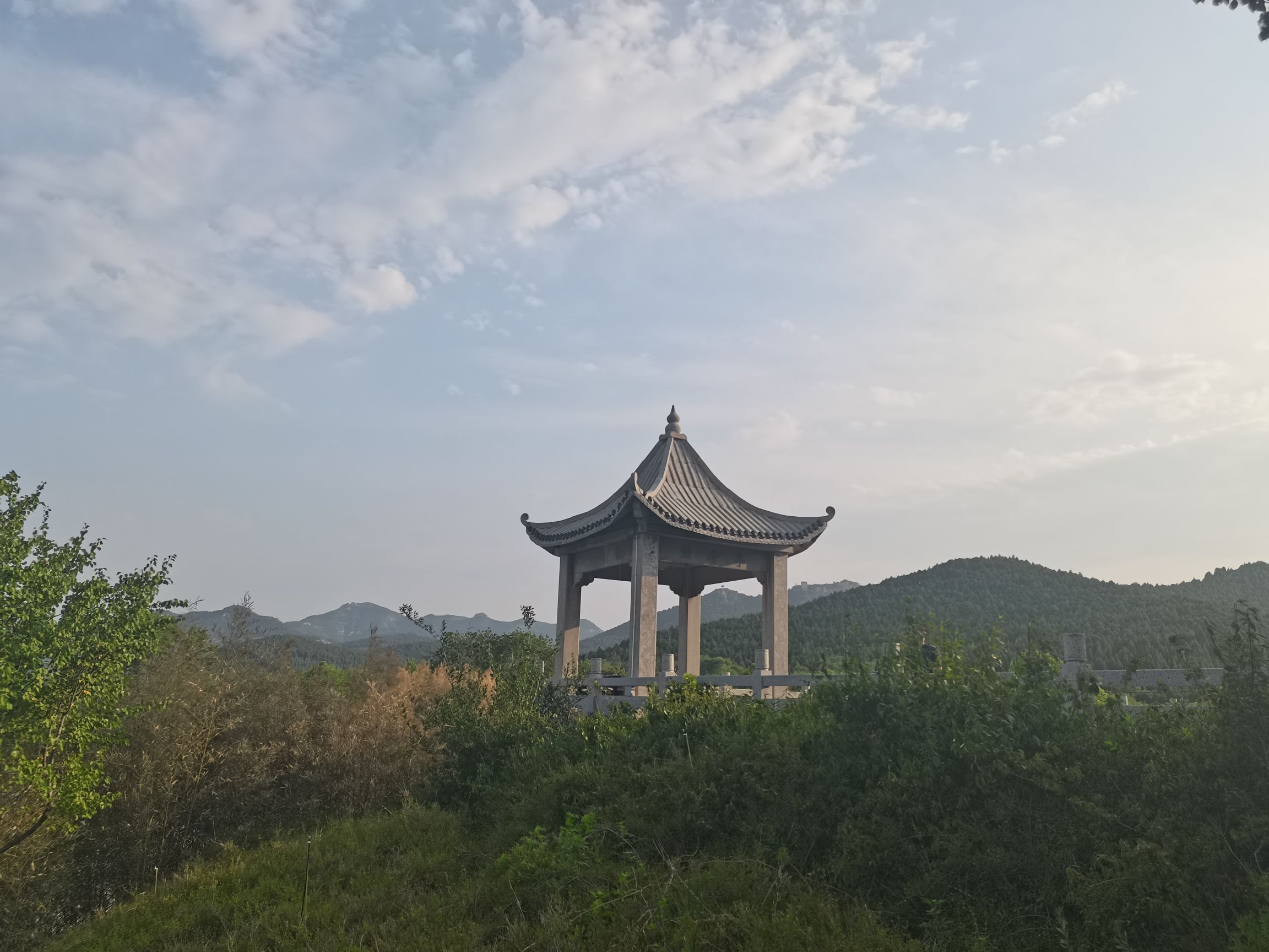 望寿园旅行图片 1