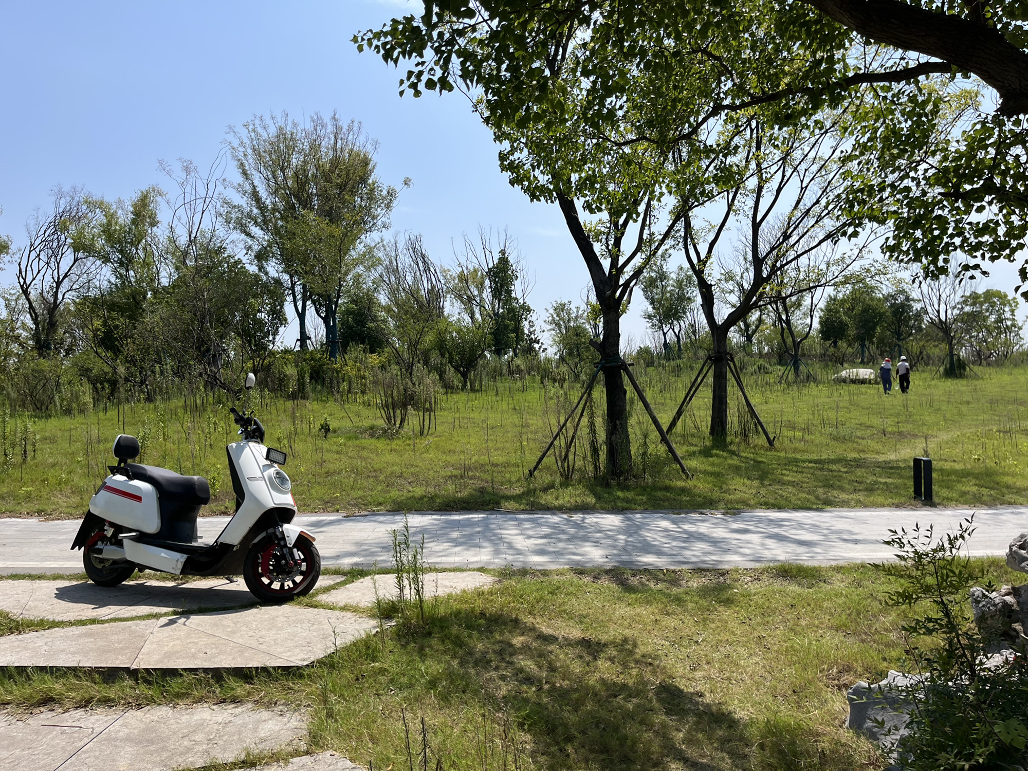 来安产业新城阳明湖公园旅行图片 1
