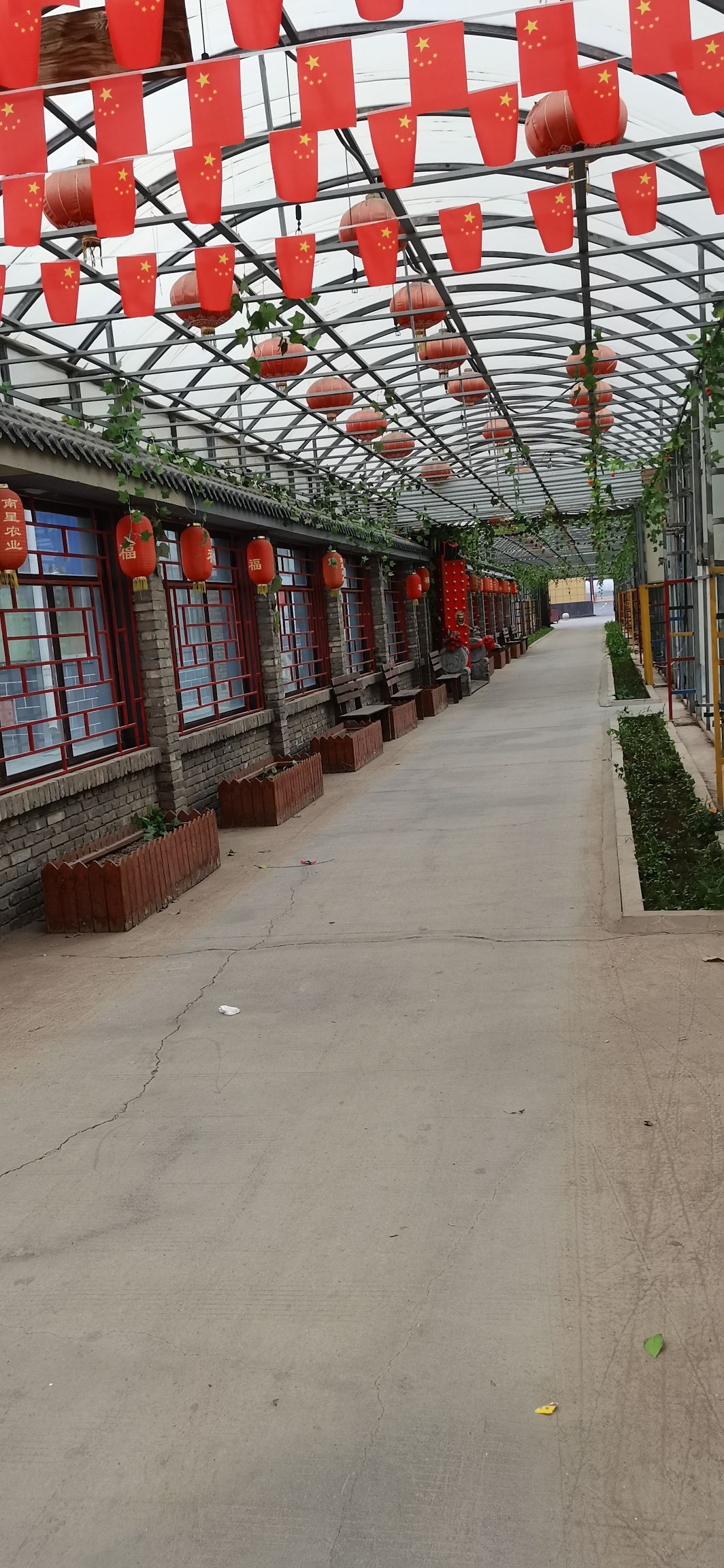 包头南星景区旅行图片 2