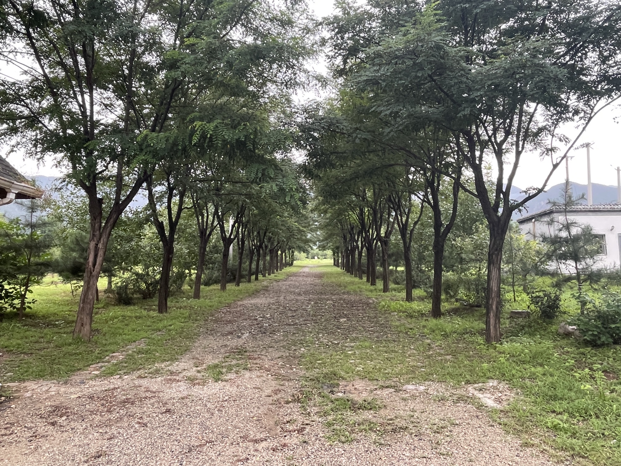 阪泉文化森林公园