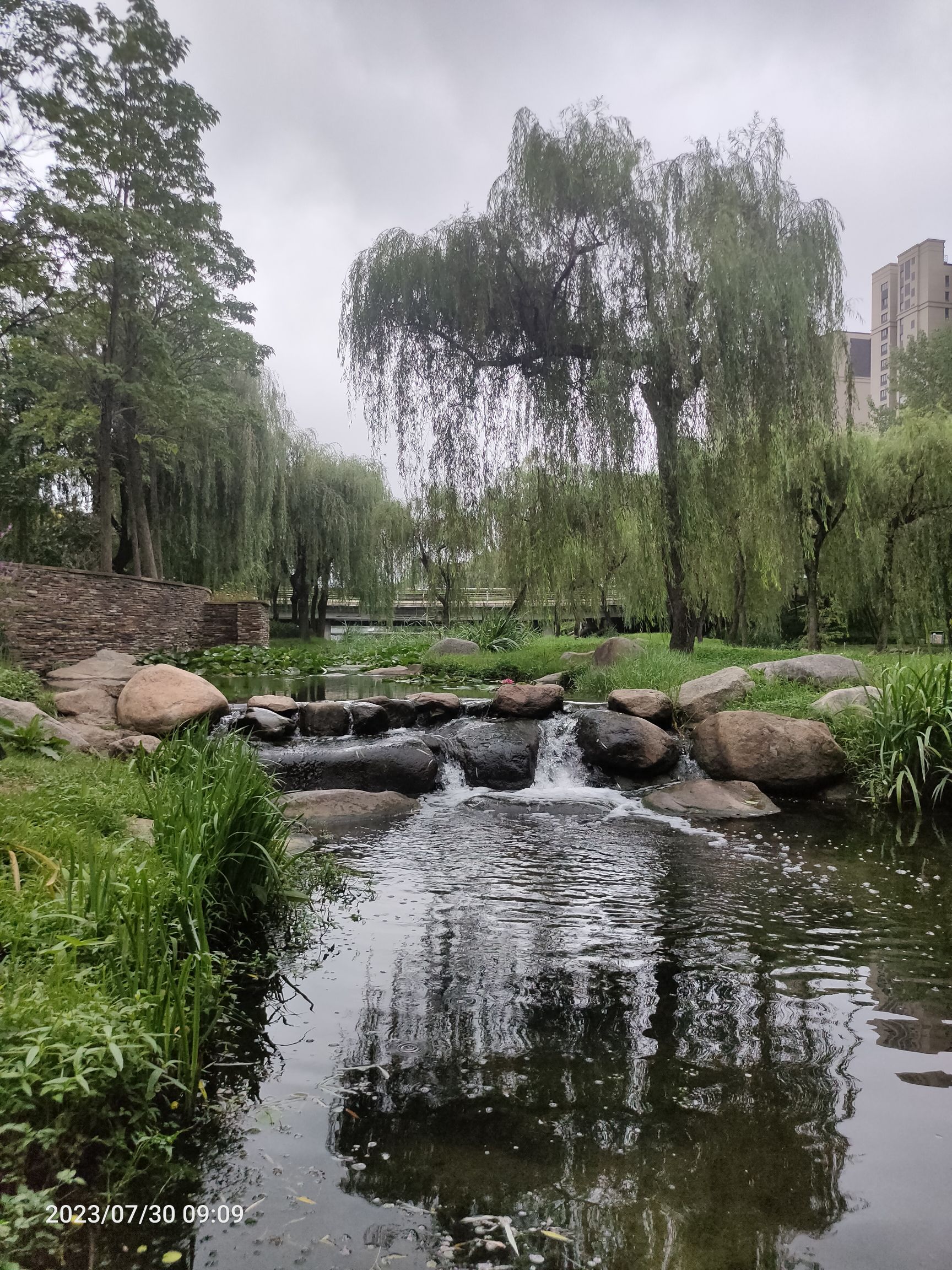 李沧区溪流湿地旅行图片 3