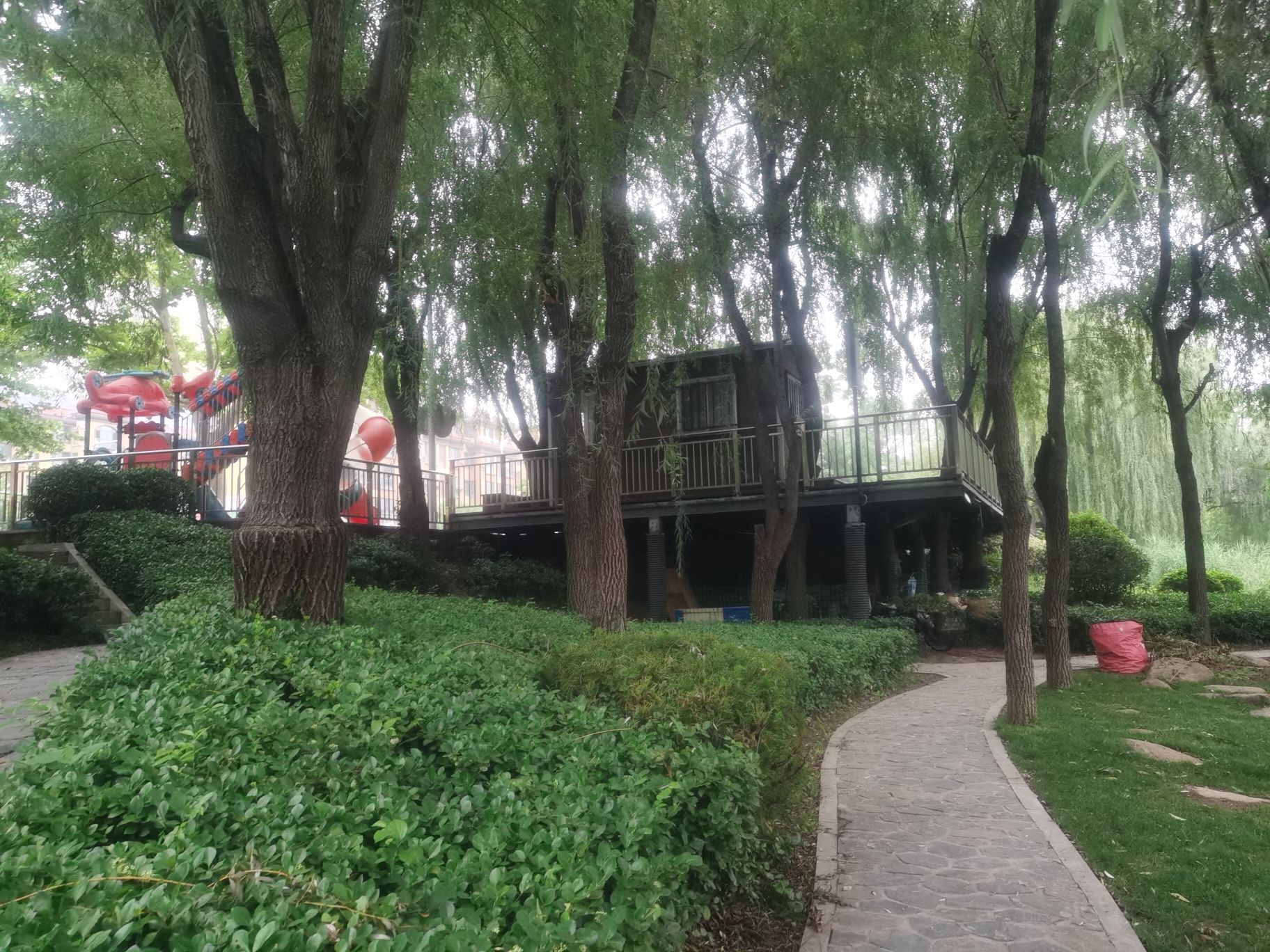 李沧区溪流湿地旅行图片 1
