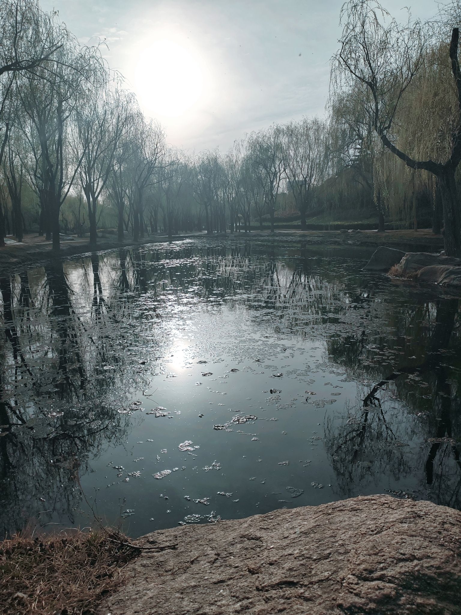 李沧区溪流湿地旅行图片 1