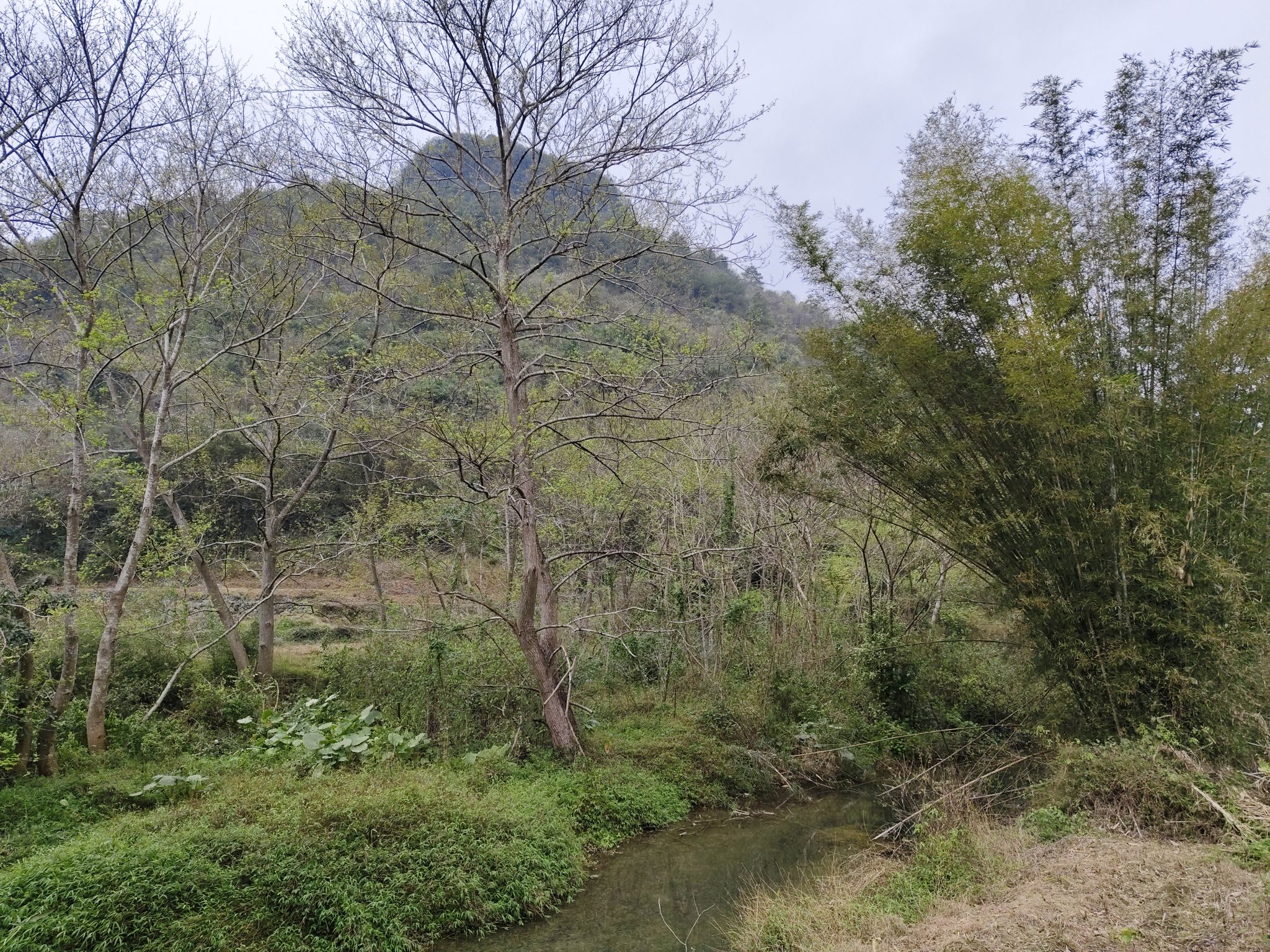 柳版九寨沟旅行图片 3
