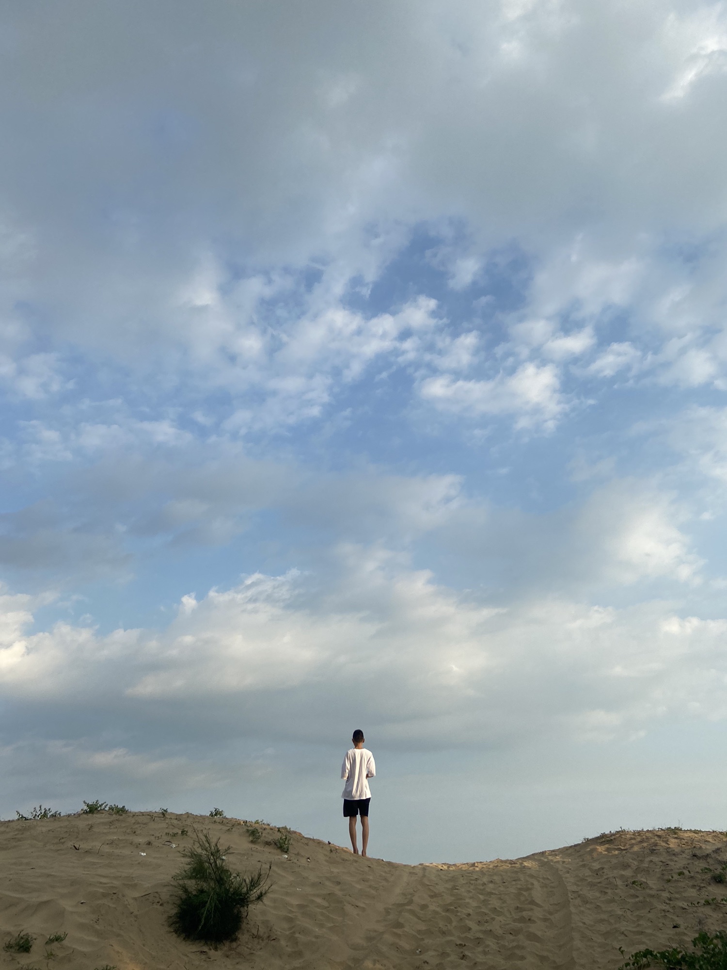 南山湾旅行图片 3