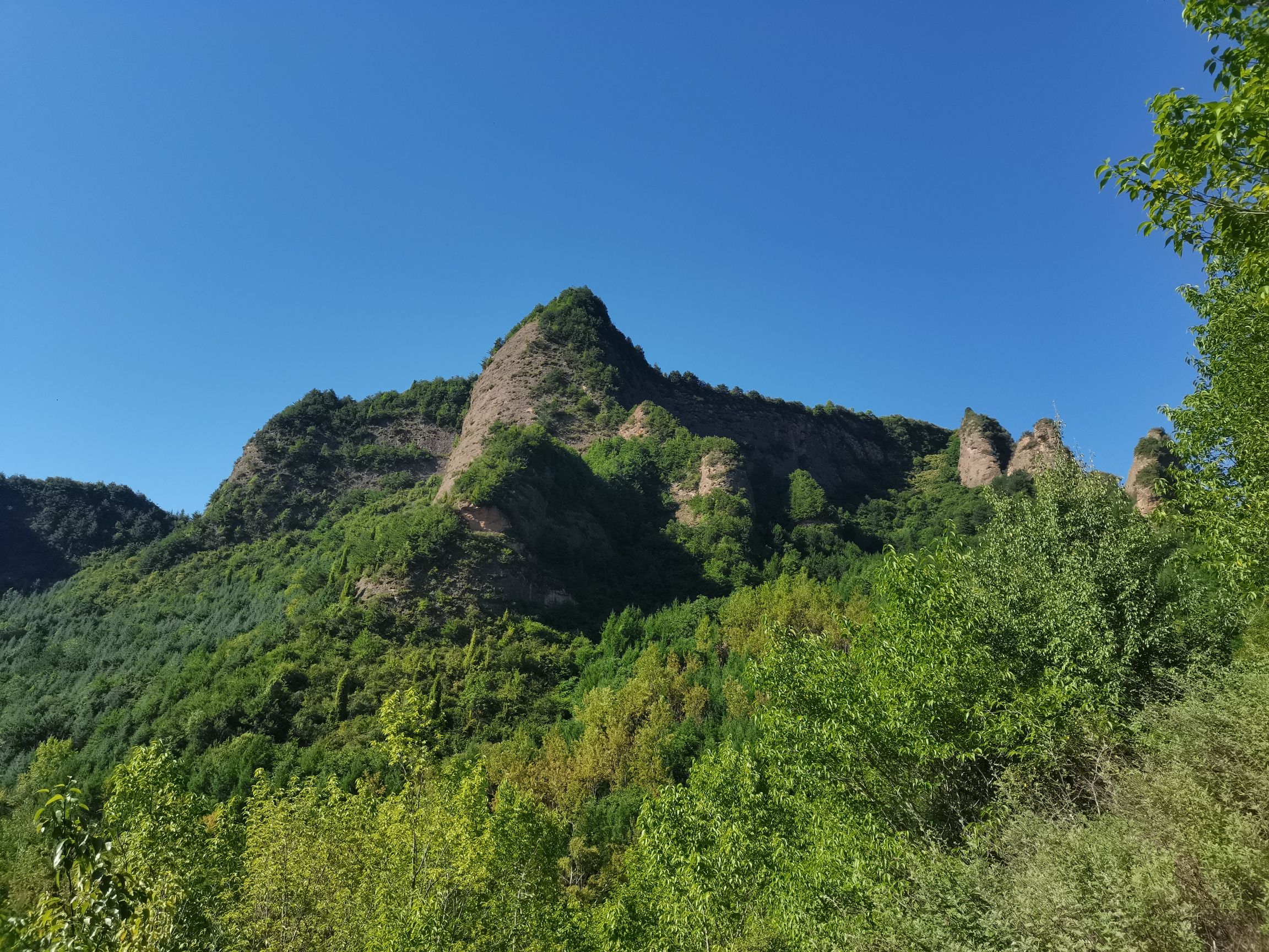 牛头寺森林公园