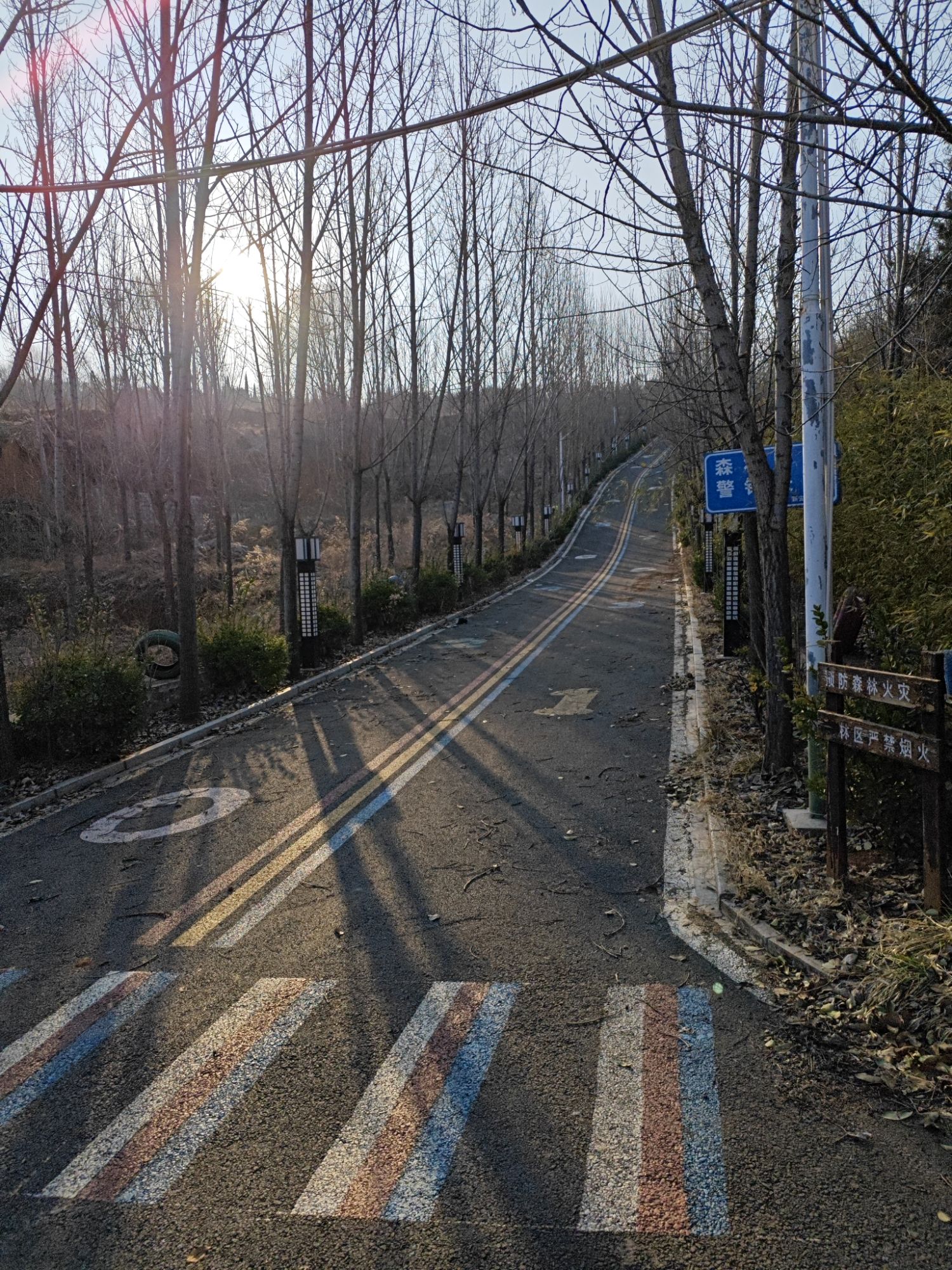 金斗山景区旅行图片 1