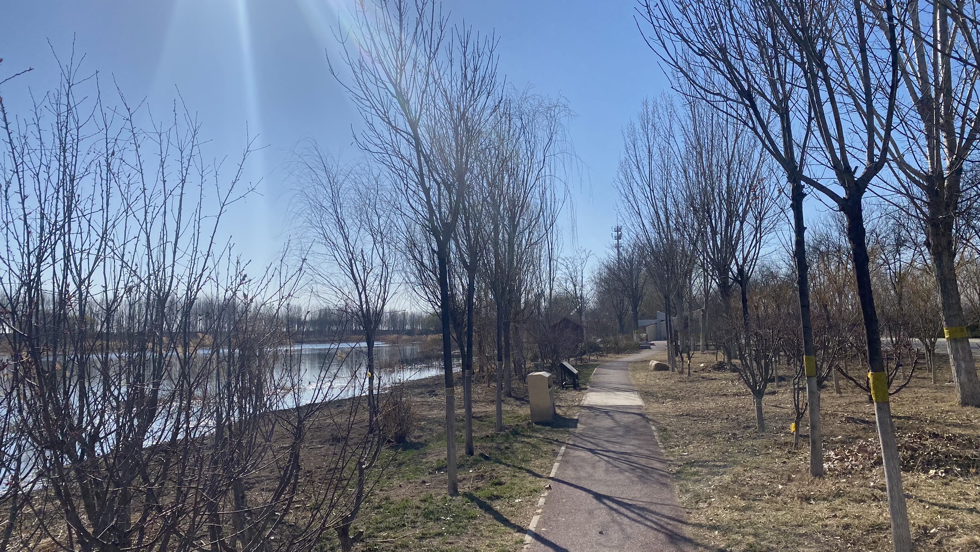 永定河故道国家湿地公园旅行图片 3