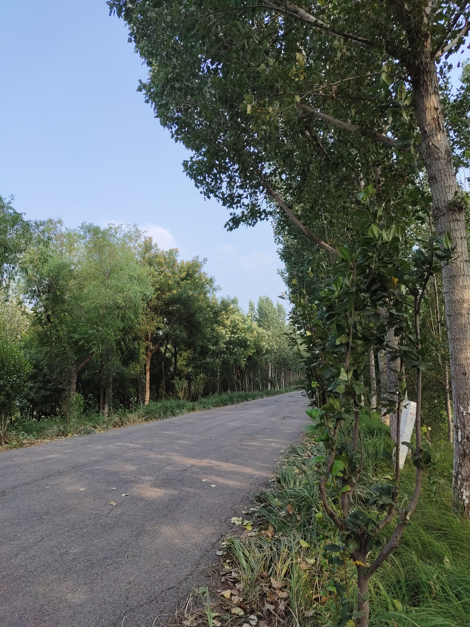 永定河故道国家湿地公园旅行图片 3