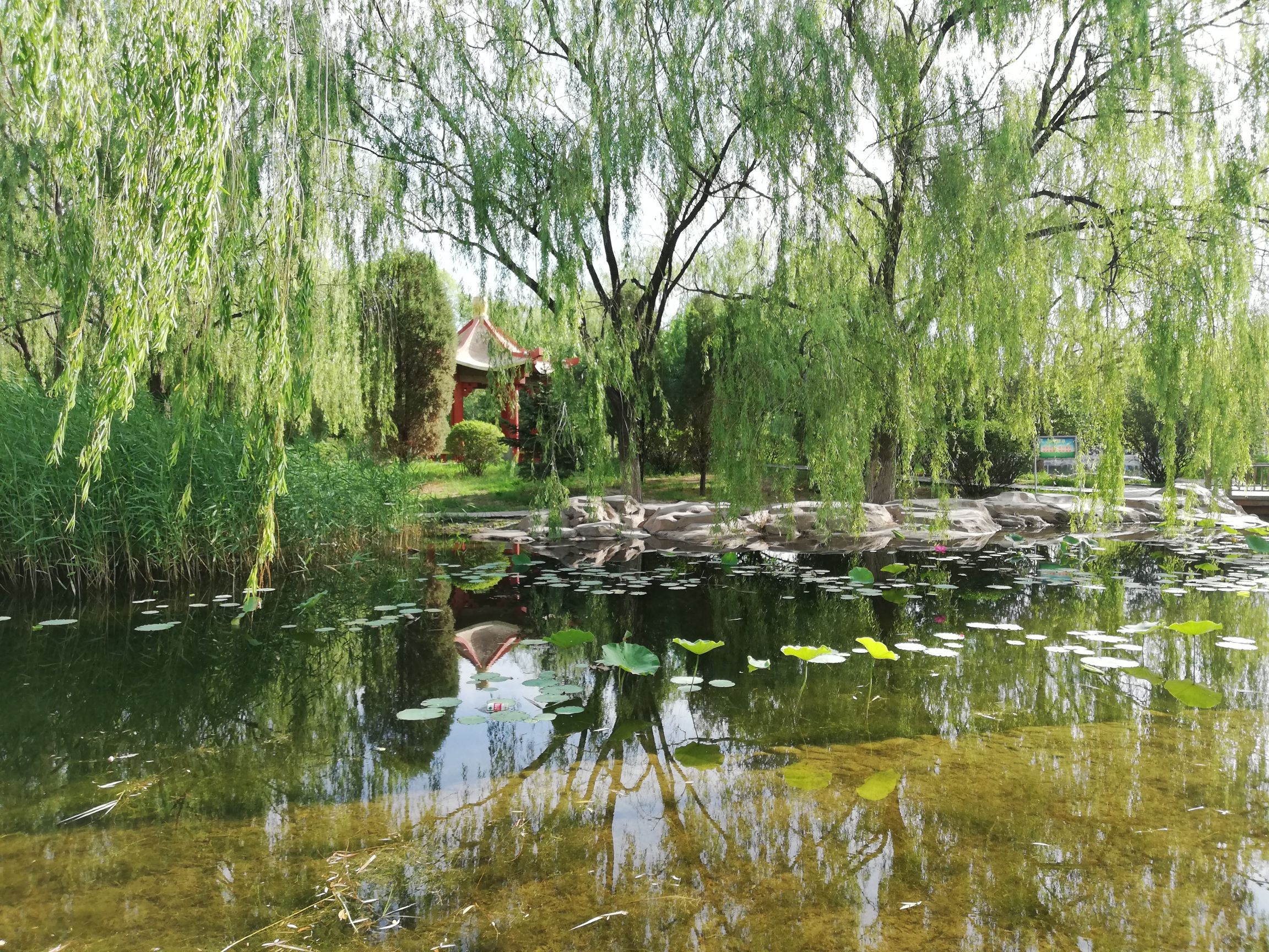 永定河故道国家湿地公园旅行图片 3