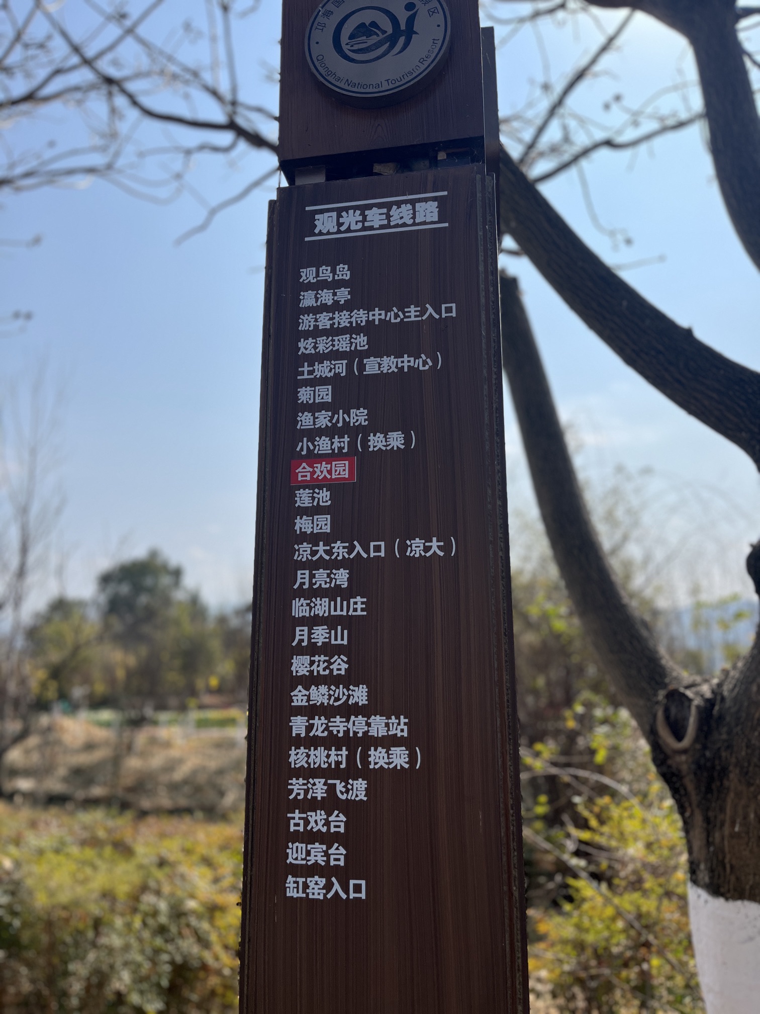 梦寻花海湿地公园