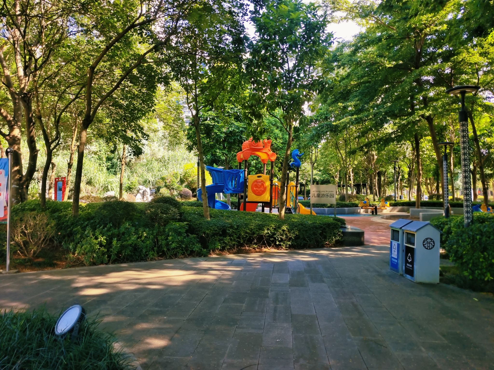 奇石林公园旅行图片 2