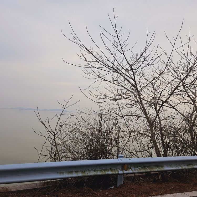 太湖景区旅行图片 3