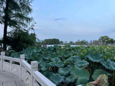 太湖景区旅行图片 2