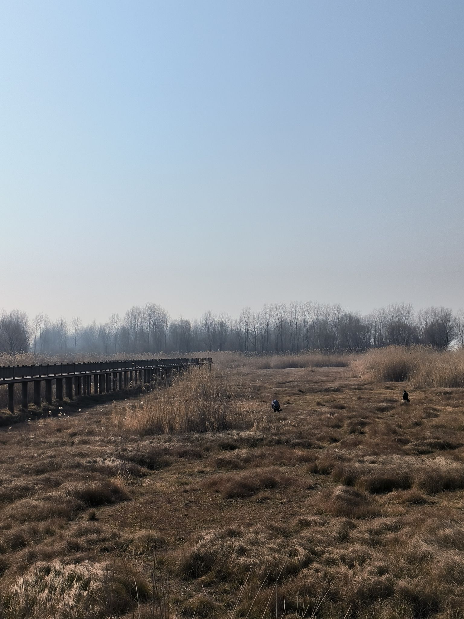 薛家洼生态园旅行图片 3
