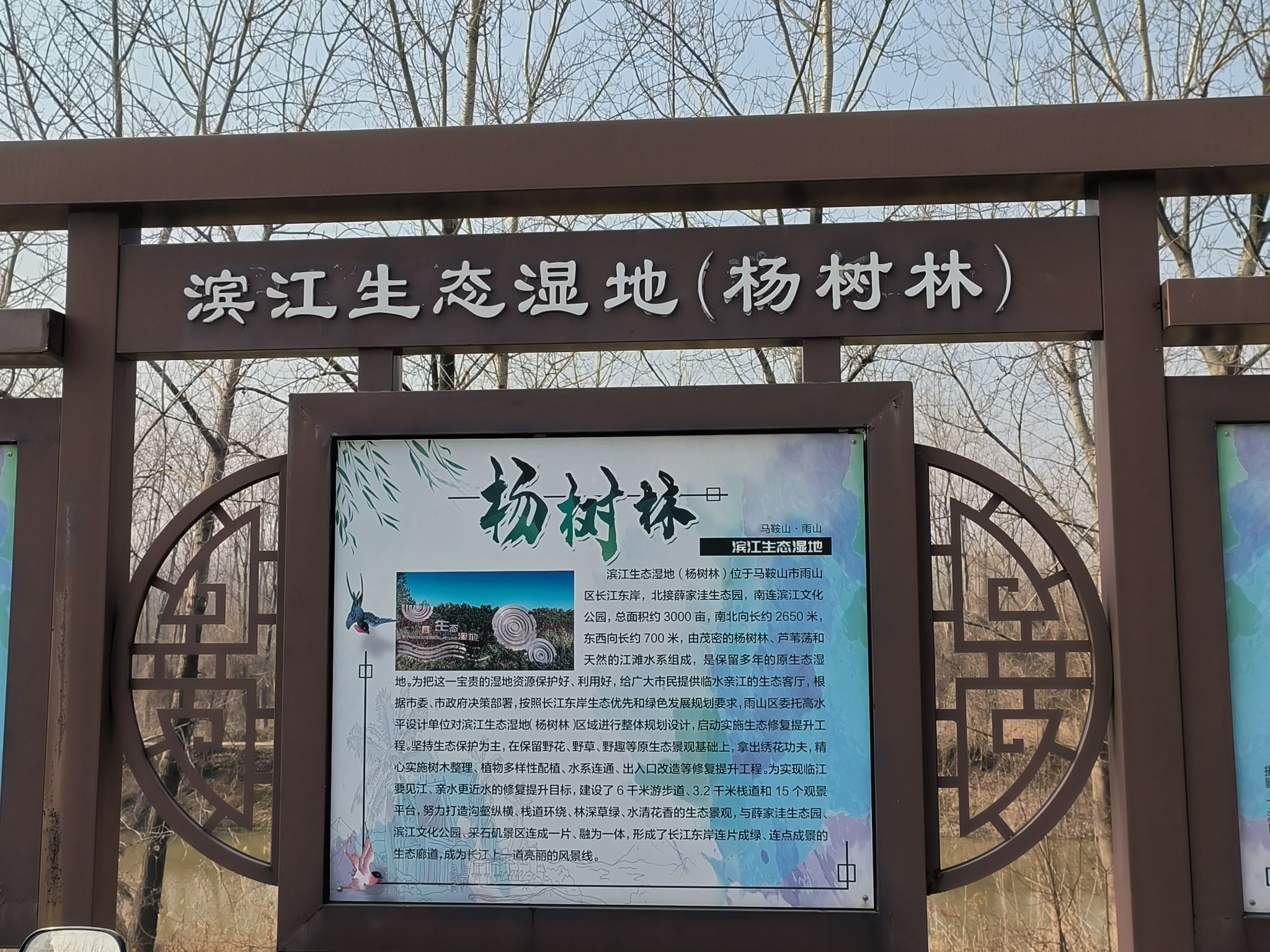 薛家洼生态园旅行图片 2