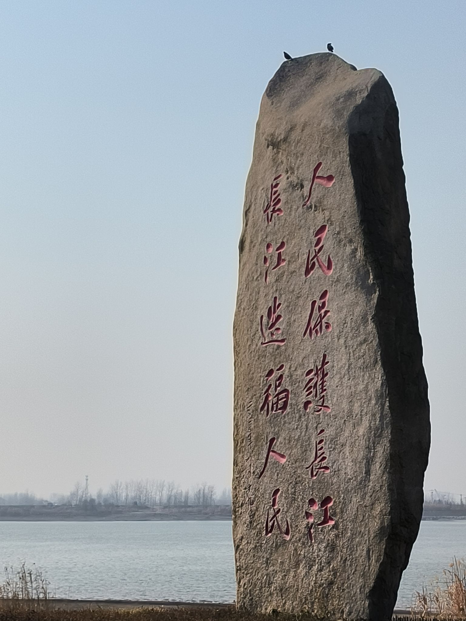 薛家洼生态园旅行图片 1