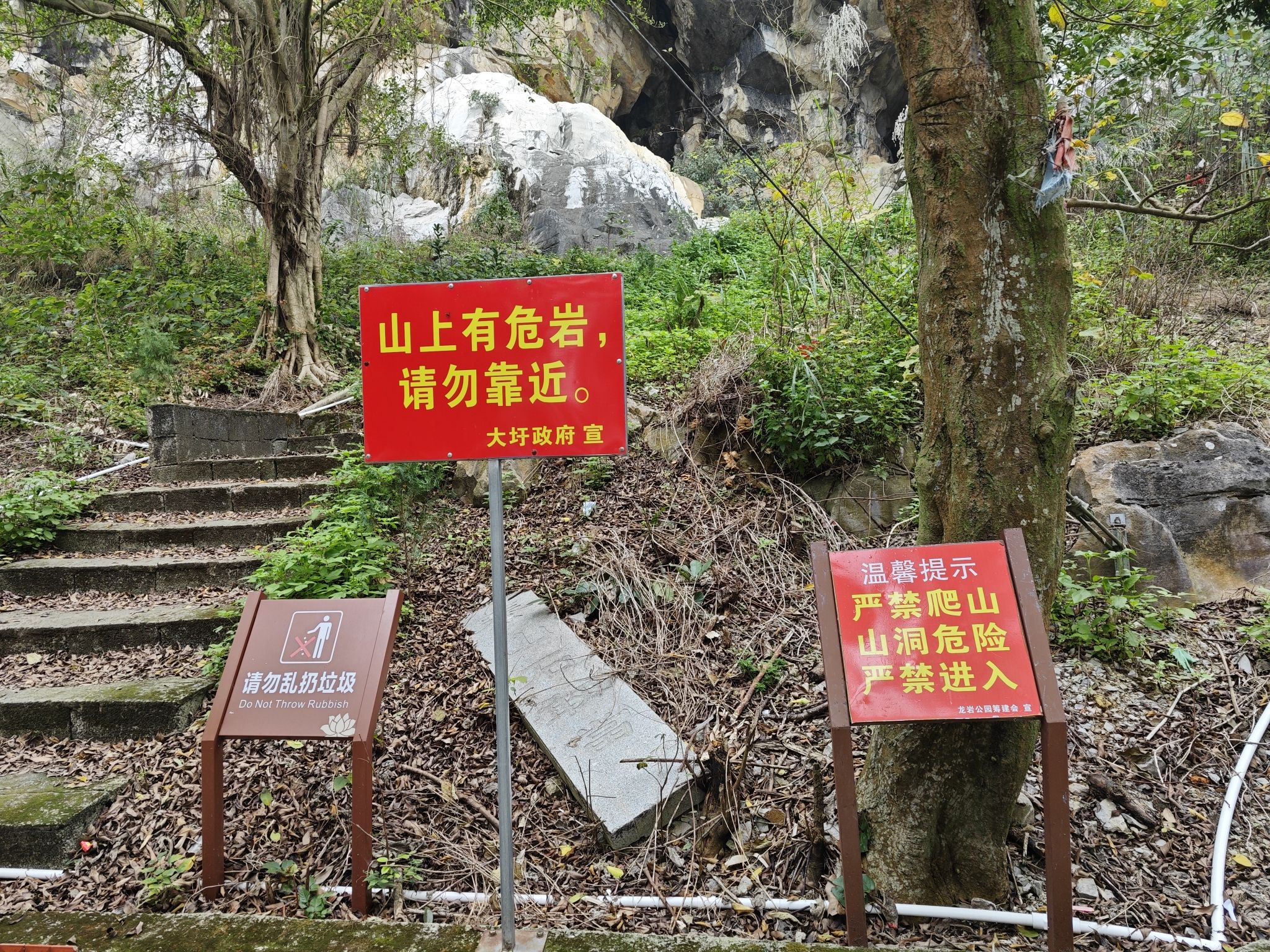 龙岩公园(暂停开放)旅行图片 1