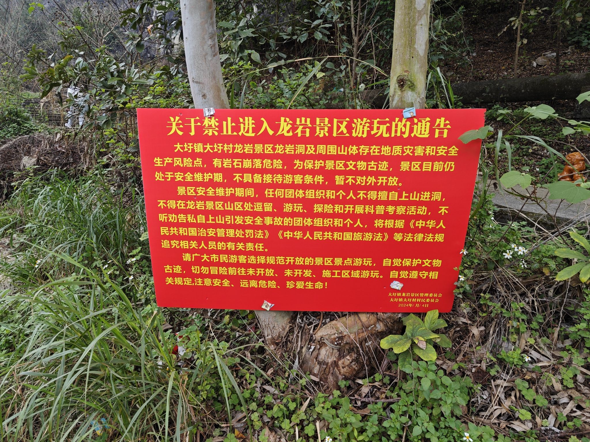 龙岩公园(暂停开放)旅行图片 3