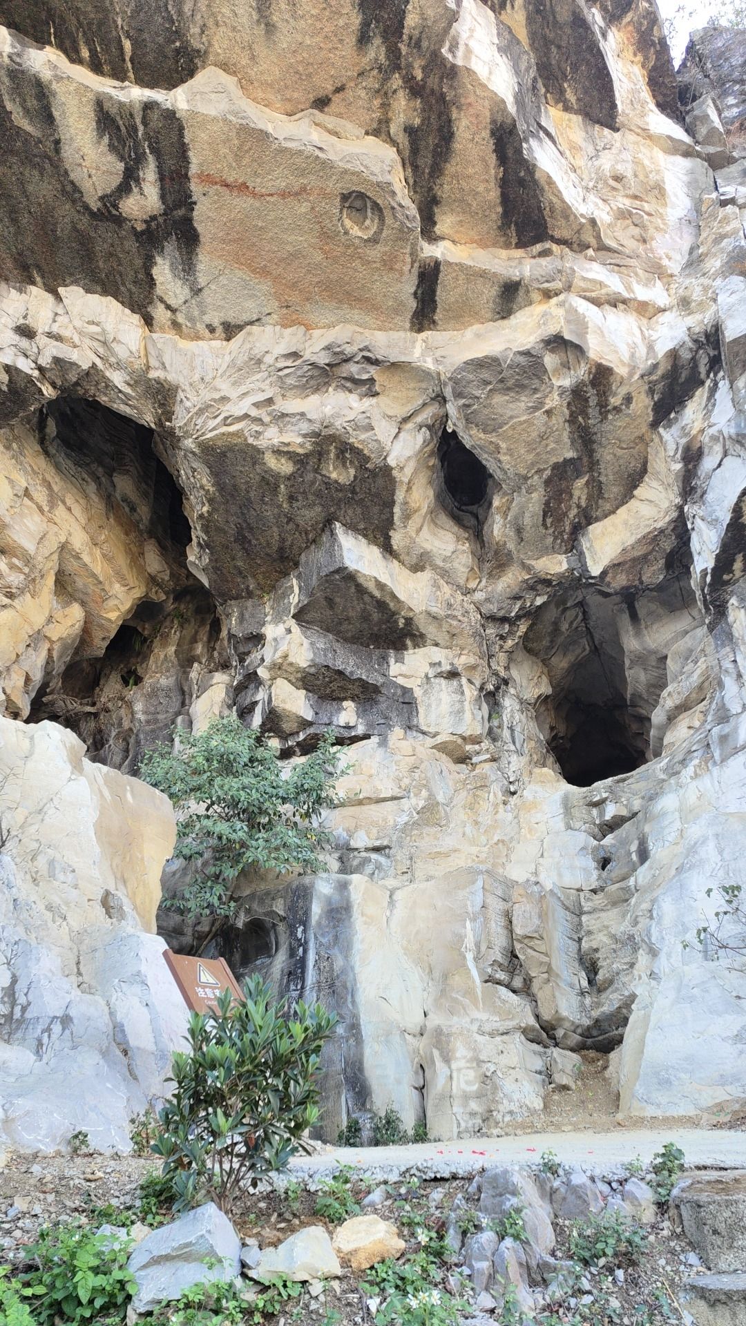 龙岩公园(暂停开放)旅行图片 2