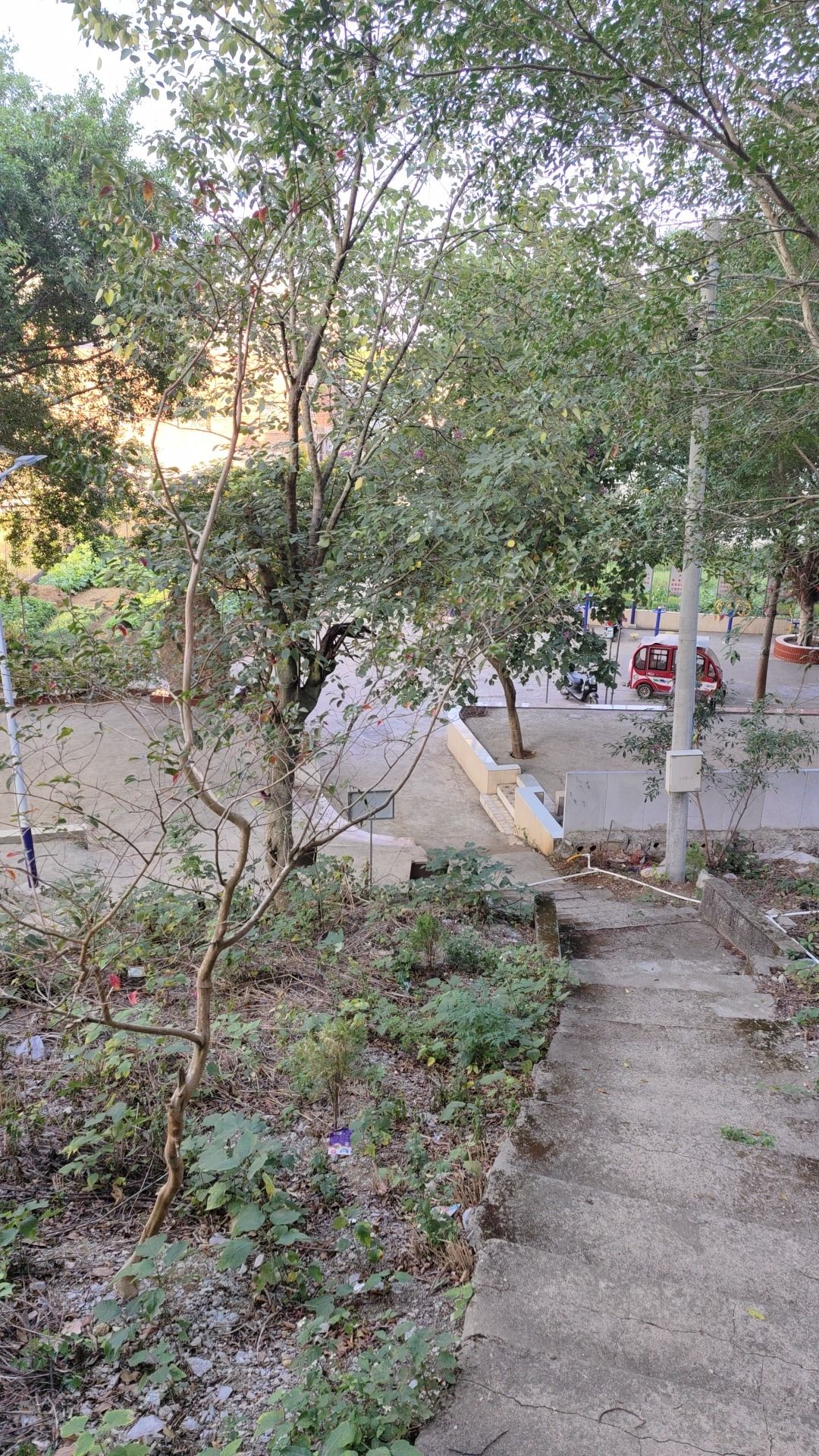 龙岩公园(暂停开放)旅行图片 3