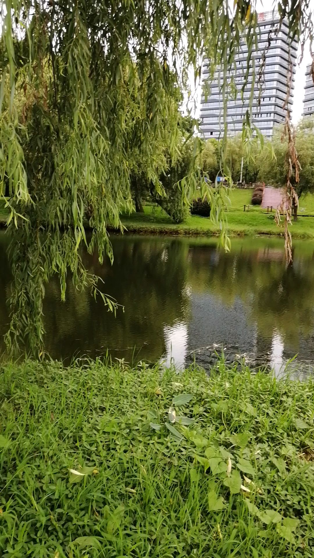 南滨江公园旅行图片 3