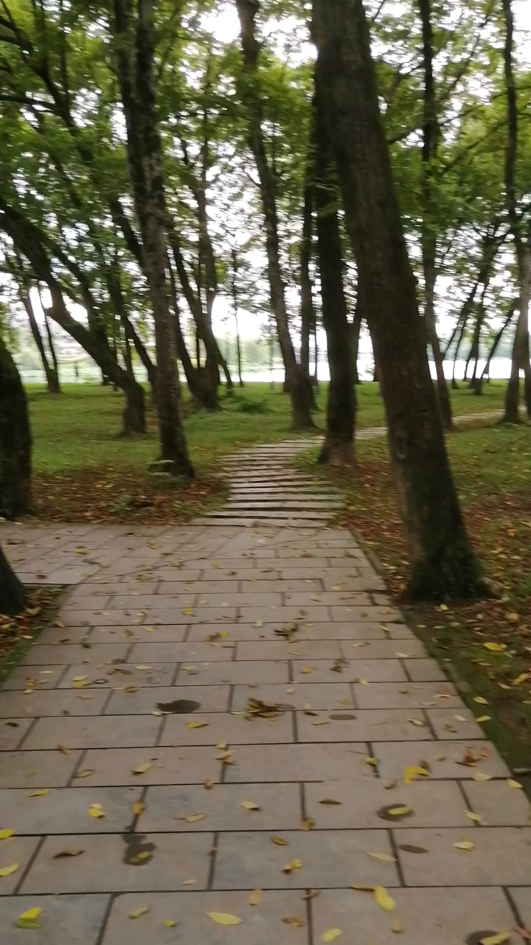 南滨江公园旅行图片 2