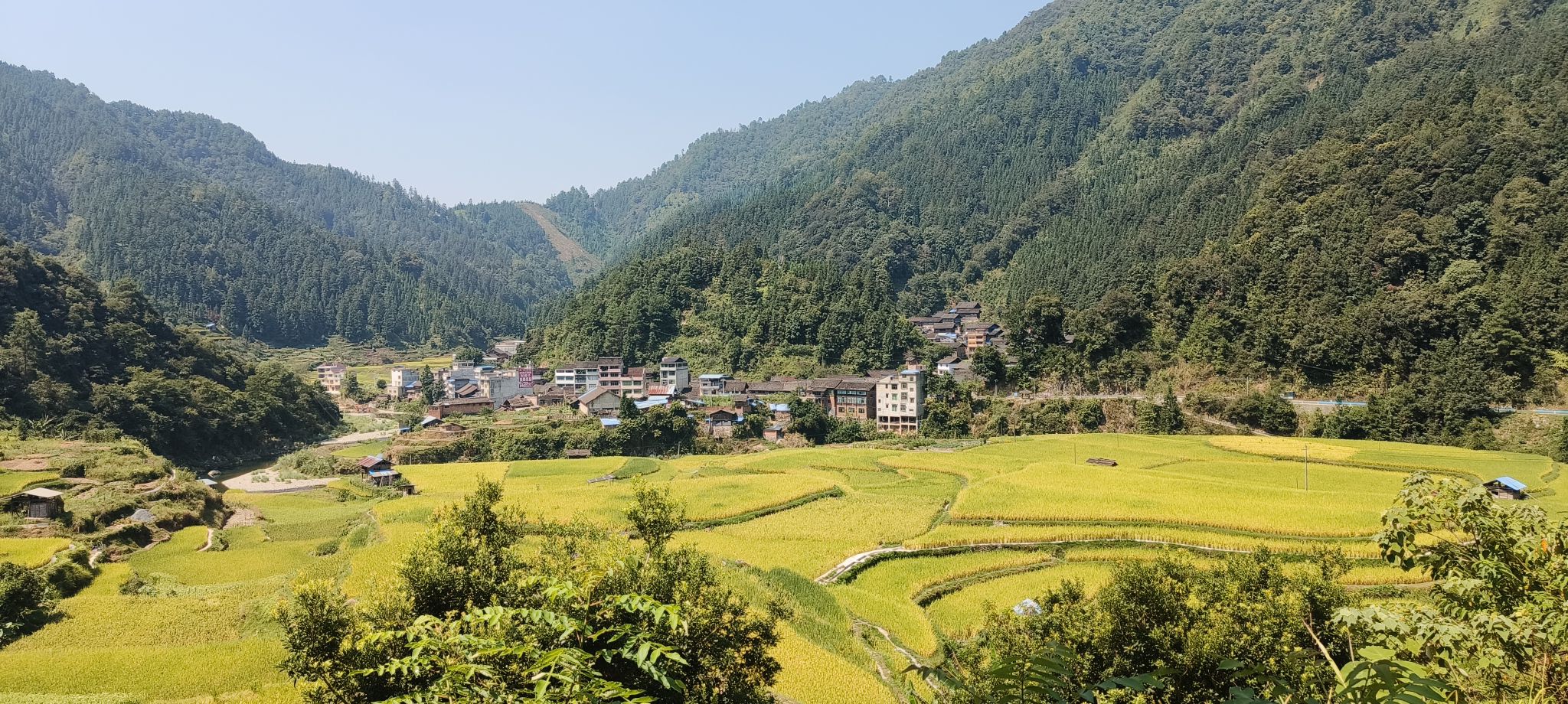 岑最苗寨
