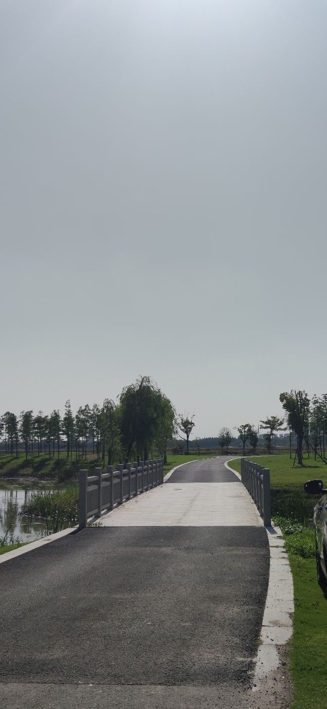 七丫口郊野湿地旅行图片 3