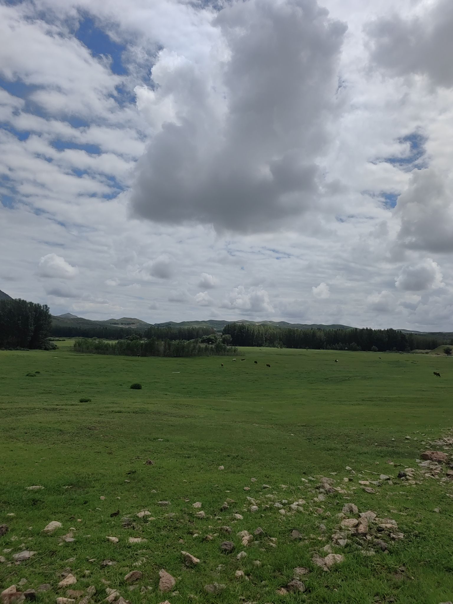 阿墩塔拉旅游区旅行图片 2