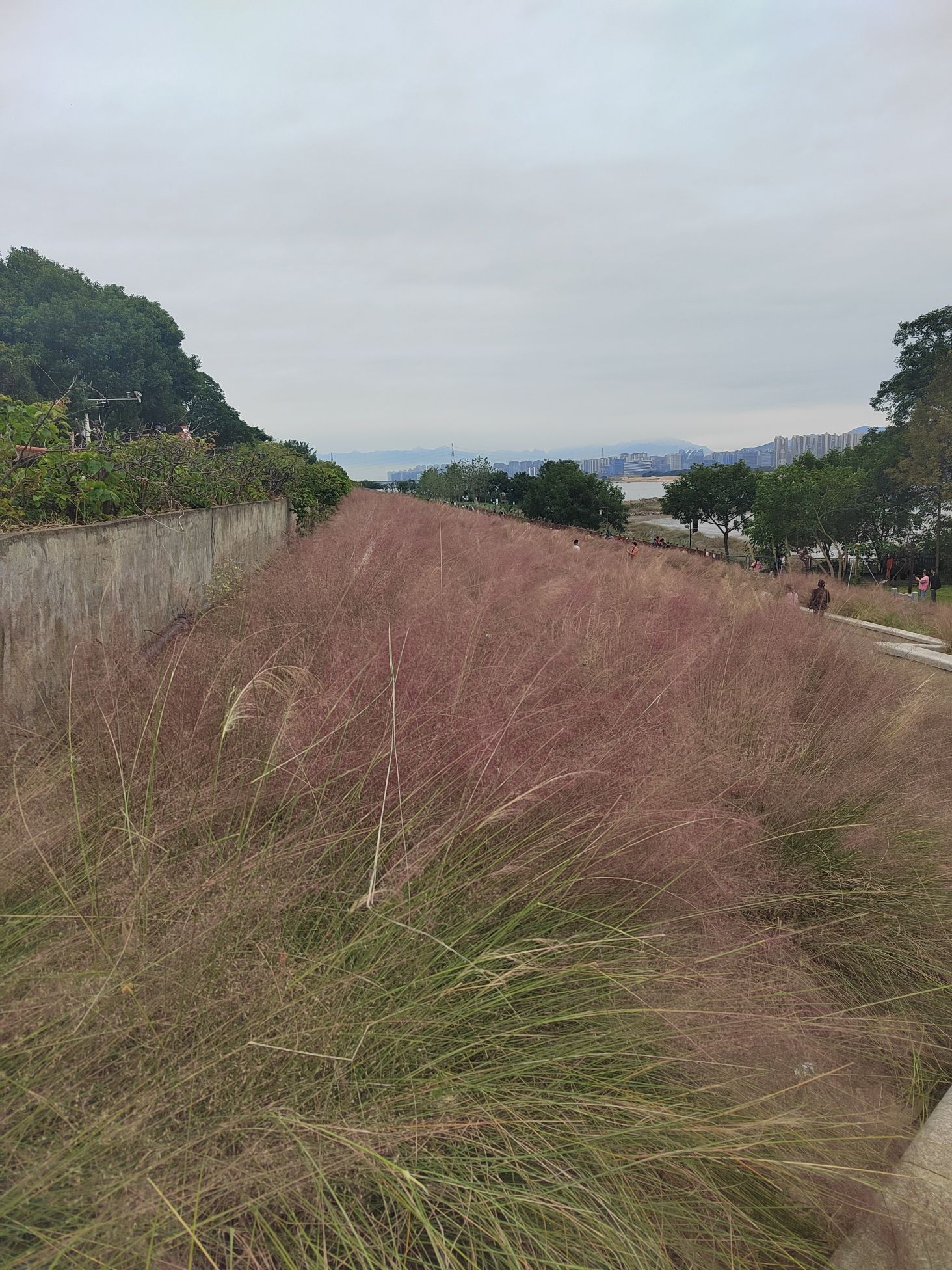 赤桥公园旅行图片 1