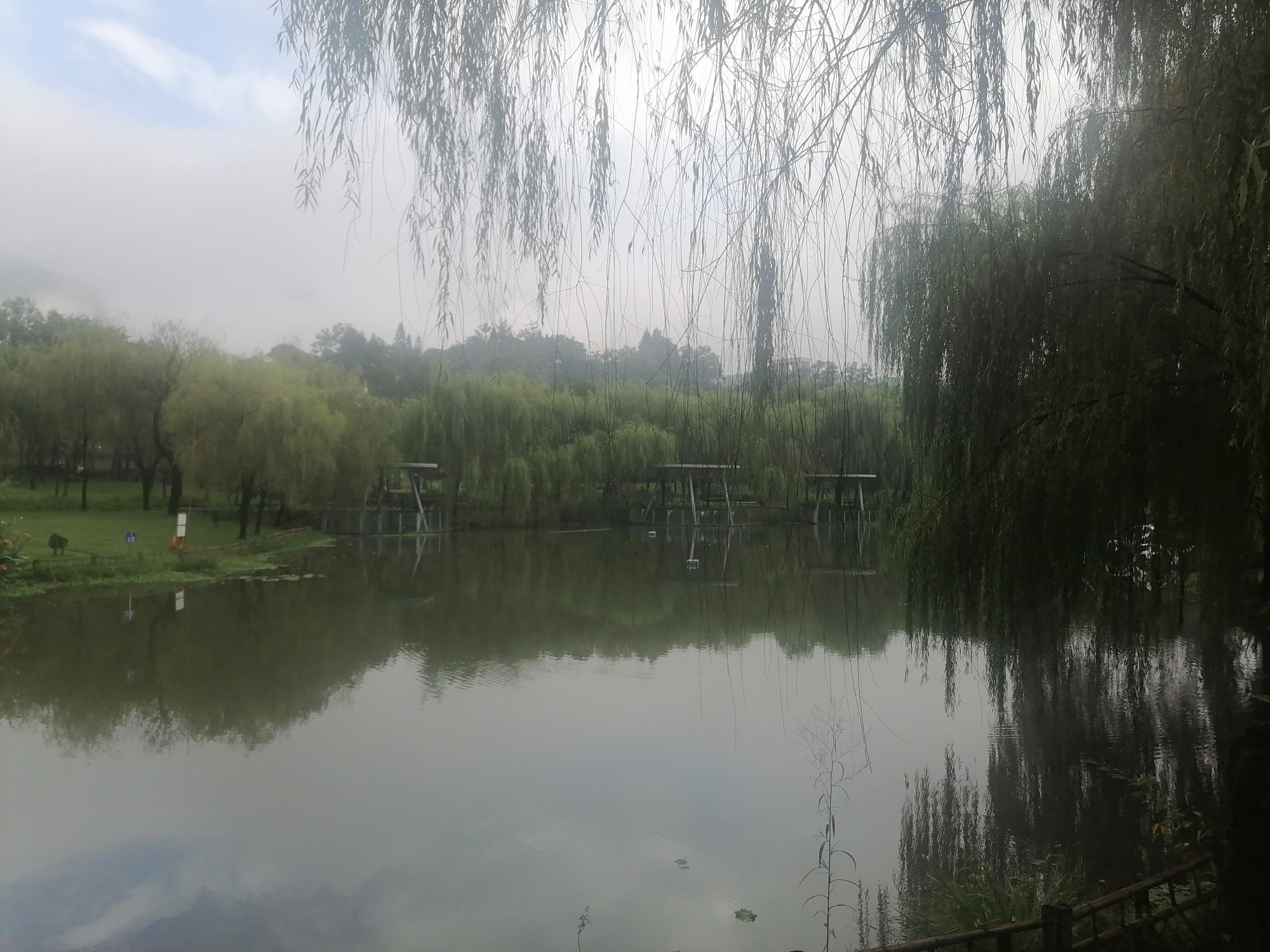 赤桥公园旅行图片 1